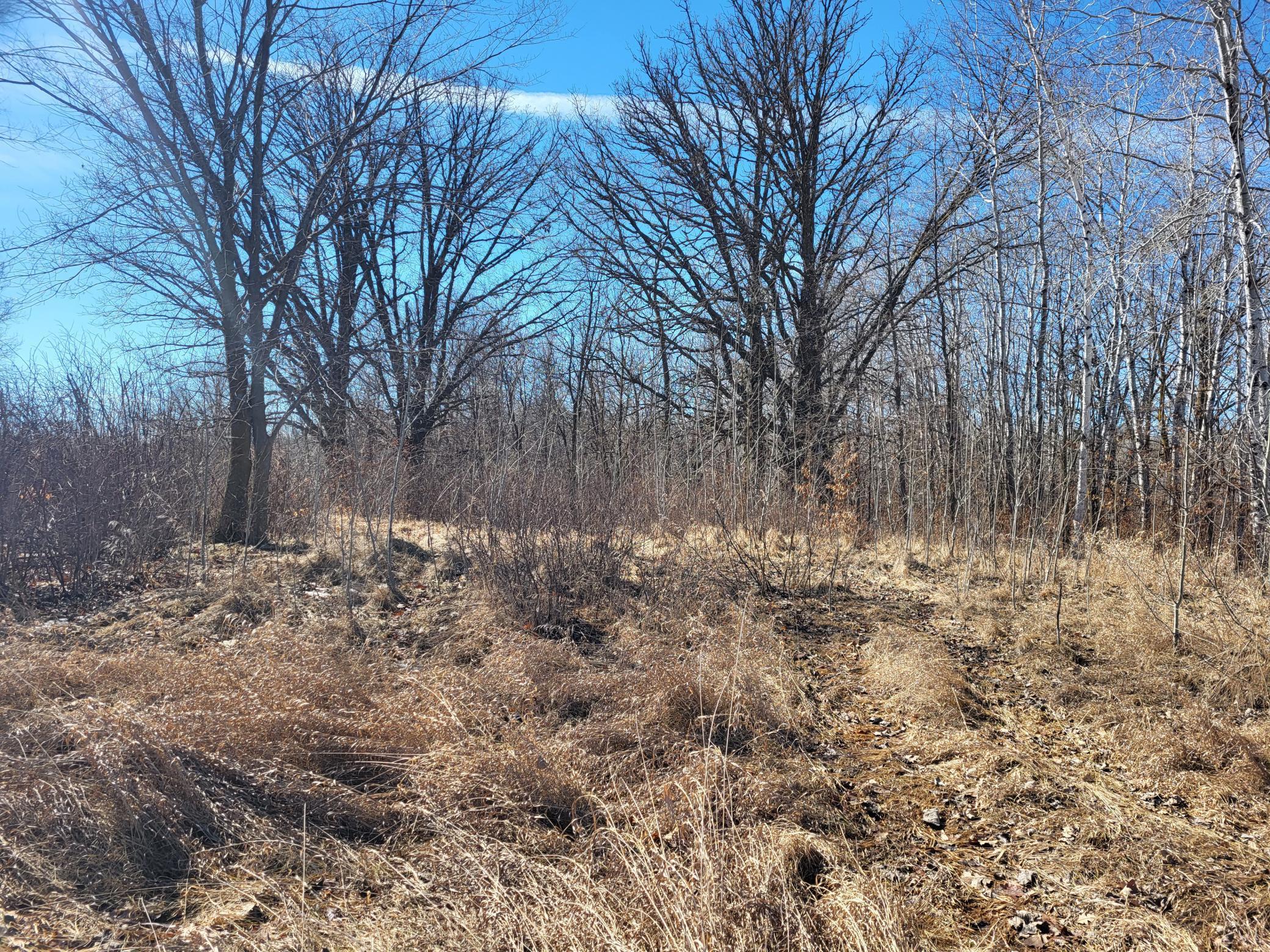 TBD 139.56ac 360th Avenue