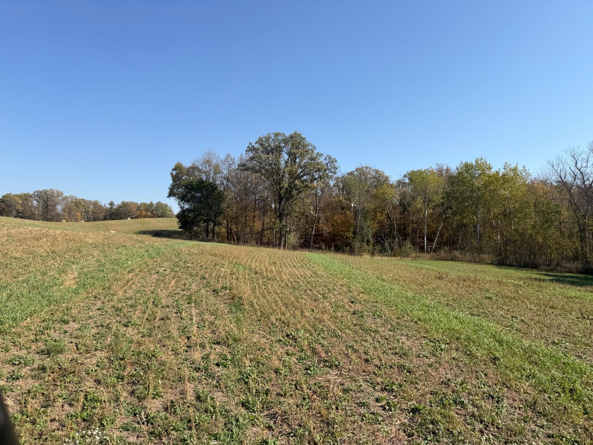 TBD 139.56ac 360th Avenue