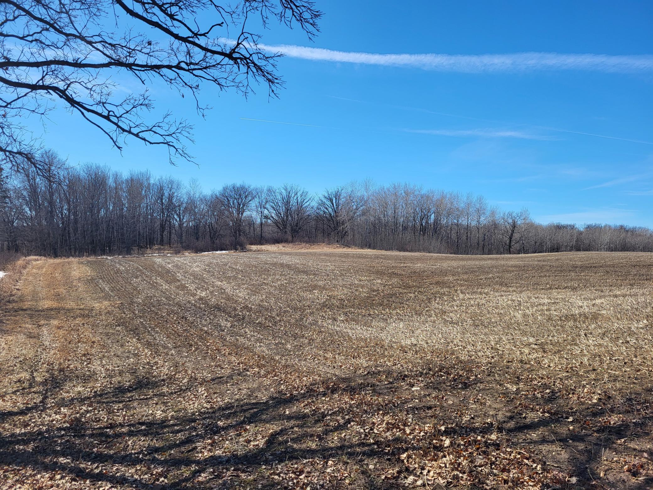 TBD 139.56ac 360th Avenue