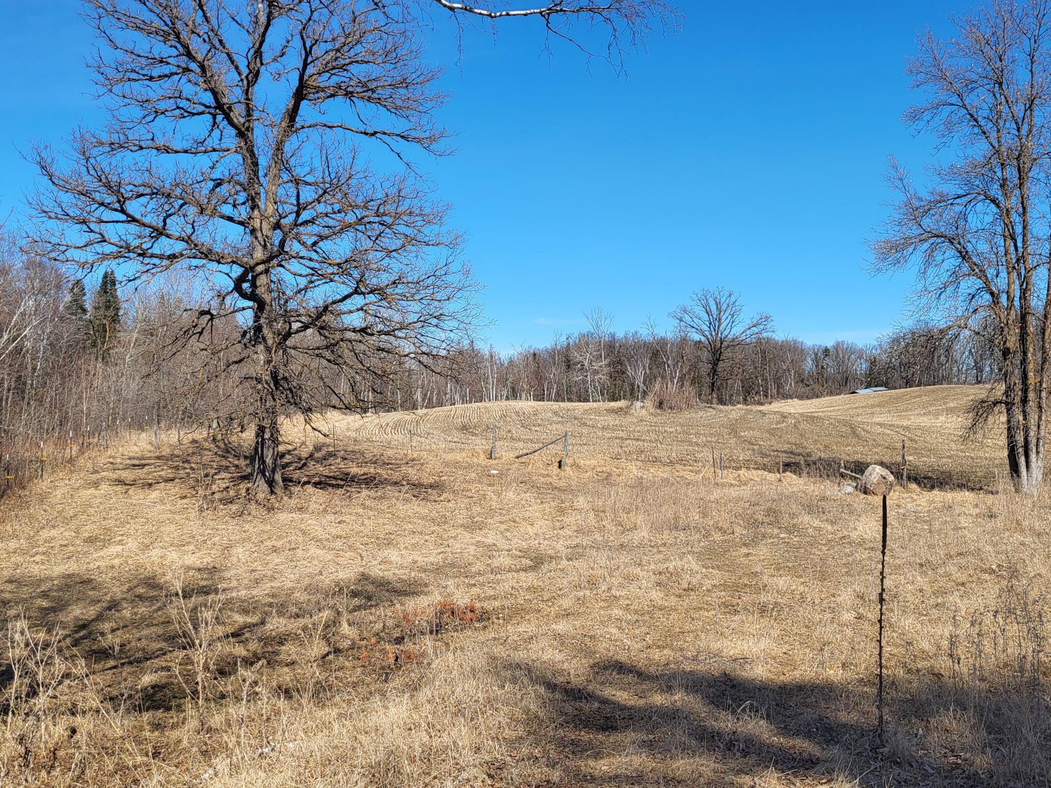 TBD 139.56ac 360th Avenue