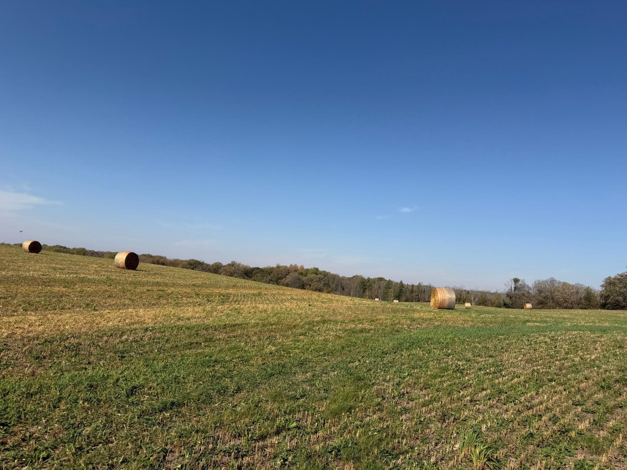 TBD 139.56ac 360th Avenue