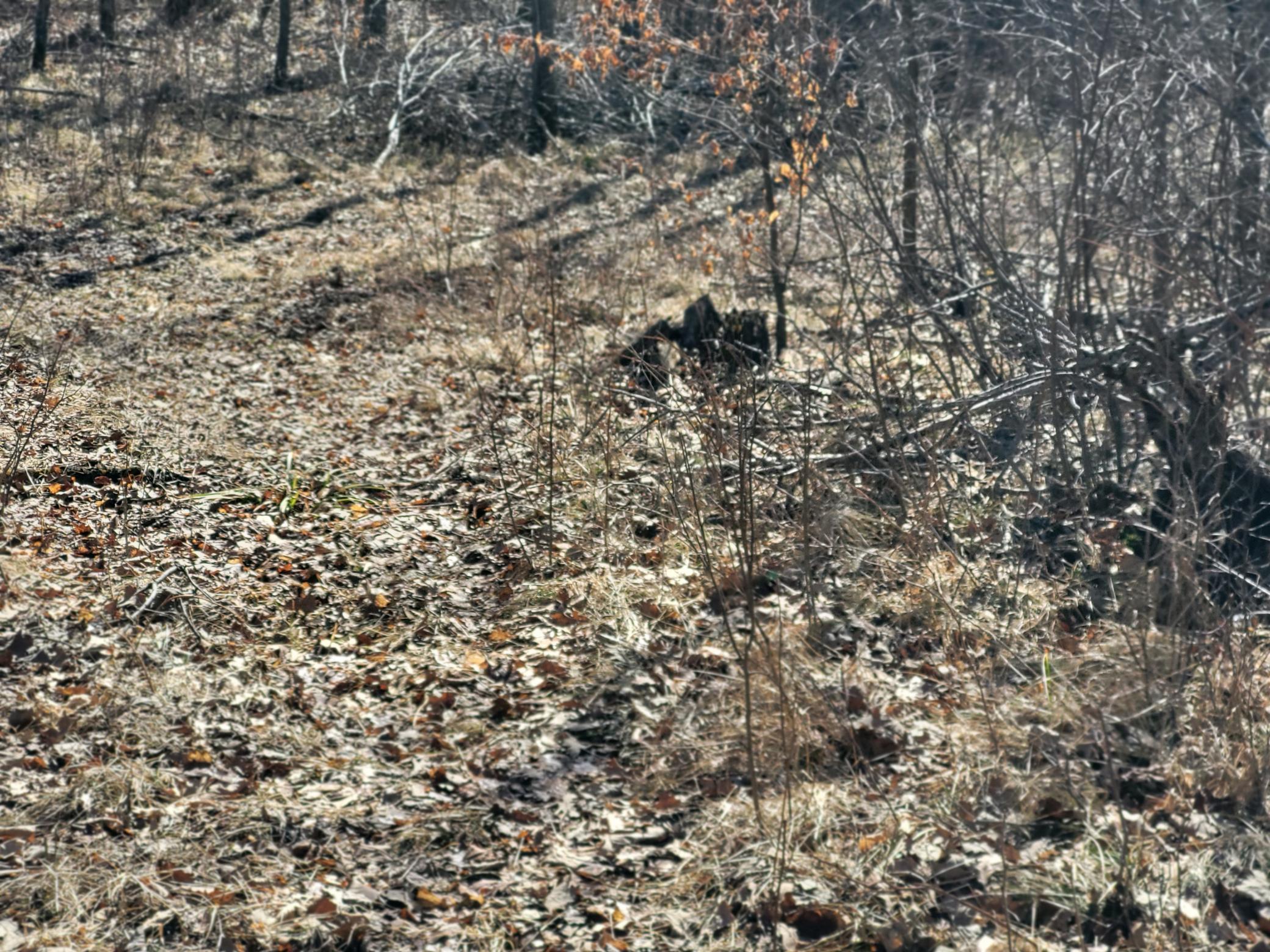 TBD 139.56ac 360th Avenue