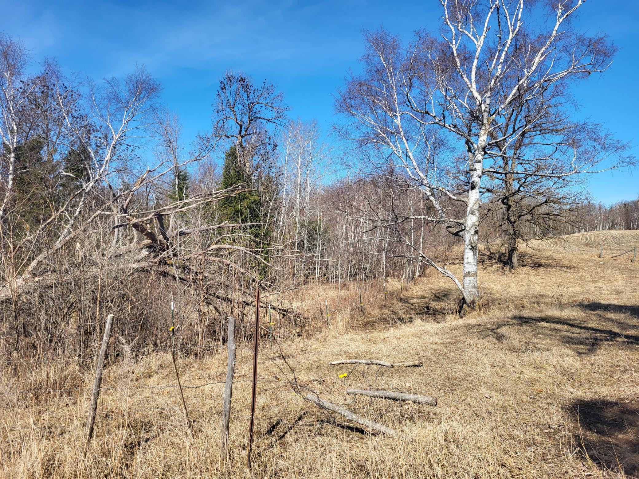 TBD 139.56ac 360th Avenue