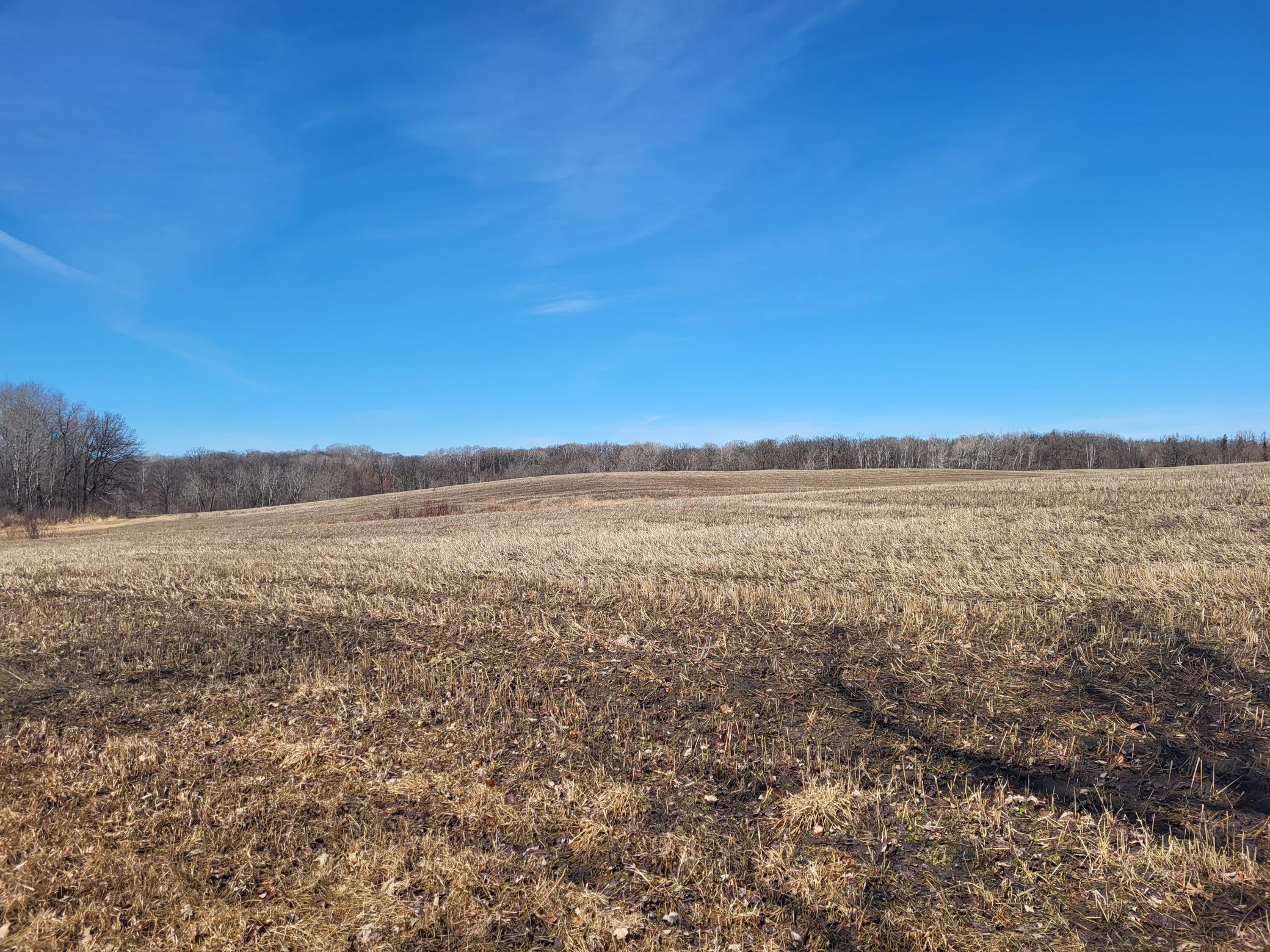 TBD 139.56ac 360th Avenue