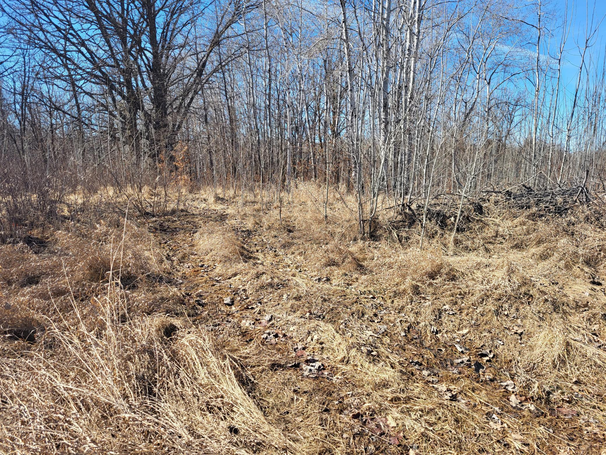 TBD 139.56ac 360th Avenue