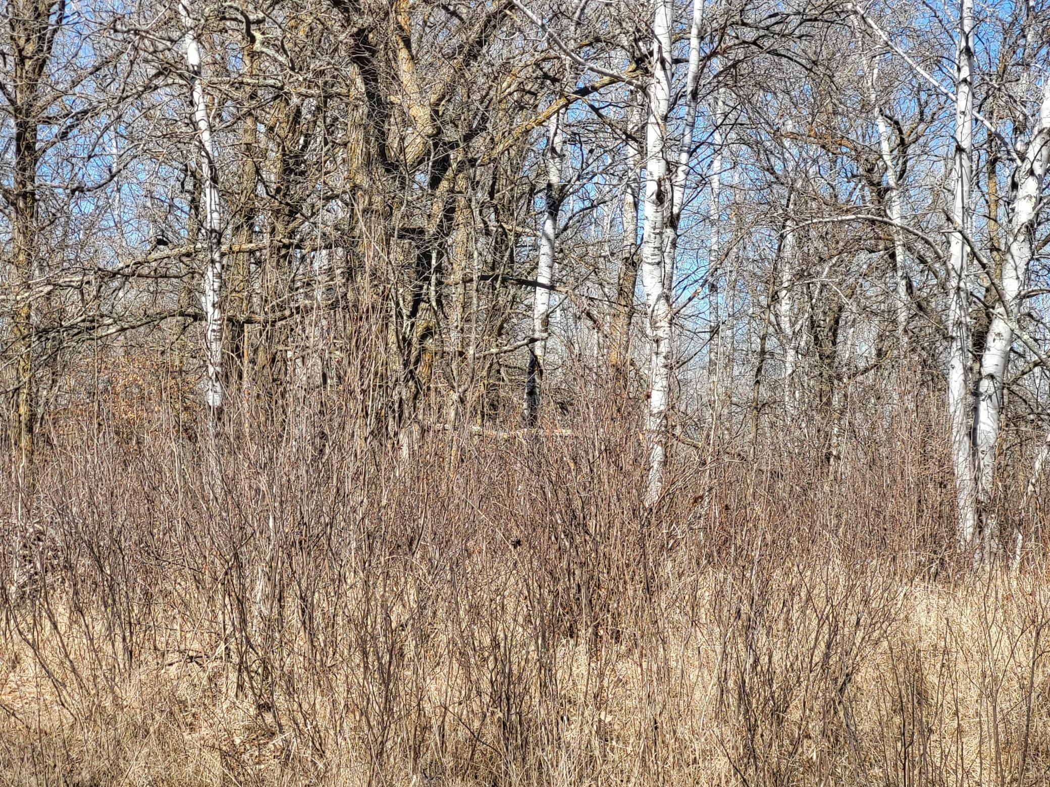 TBD 139.56ac 360th Avenue