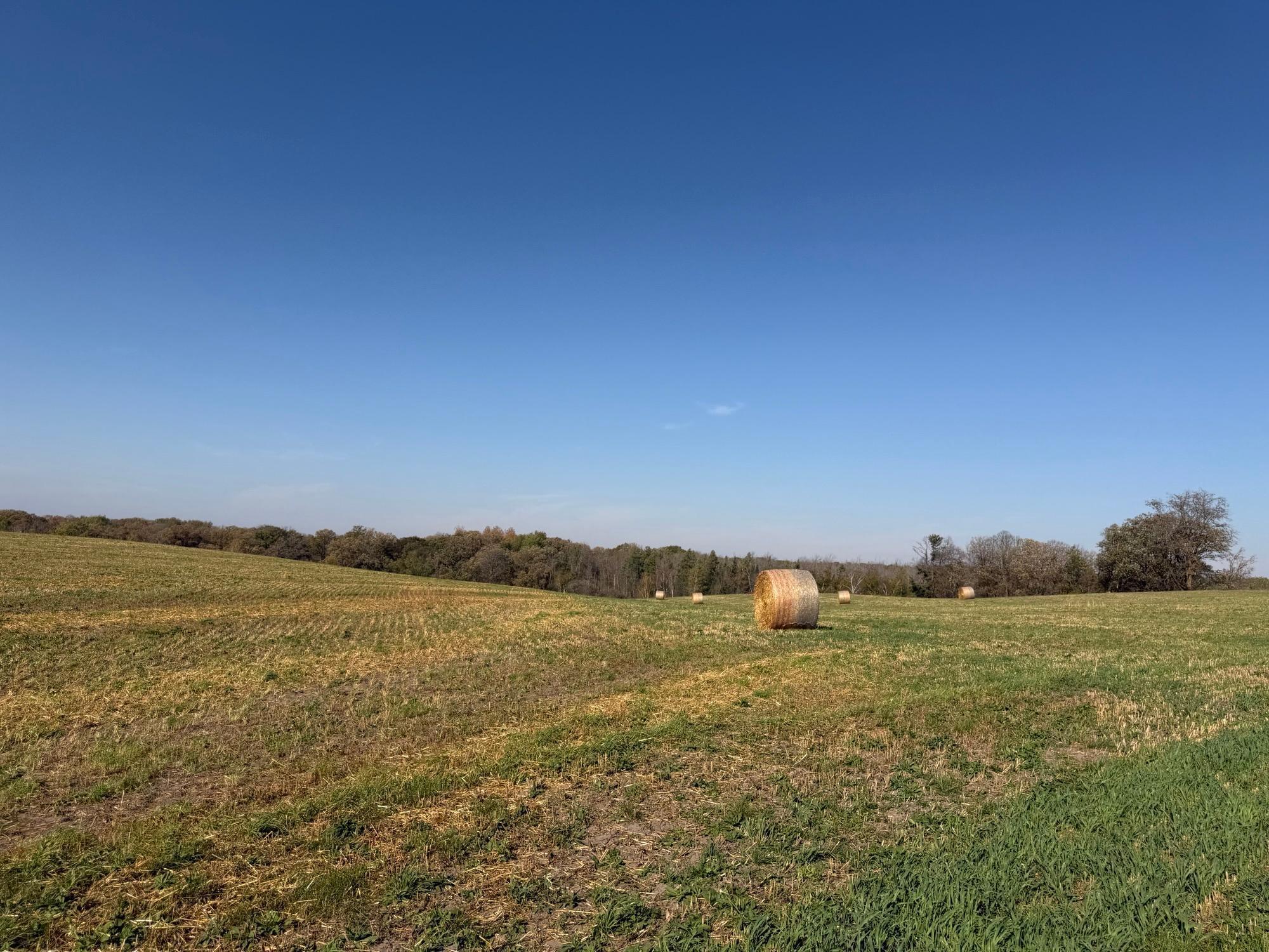 TBD 139.56ac 360th Avenue