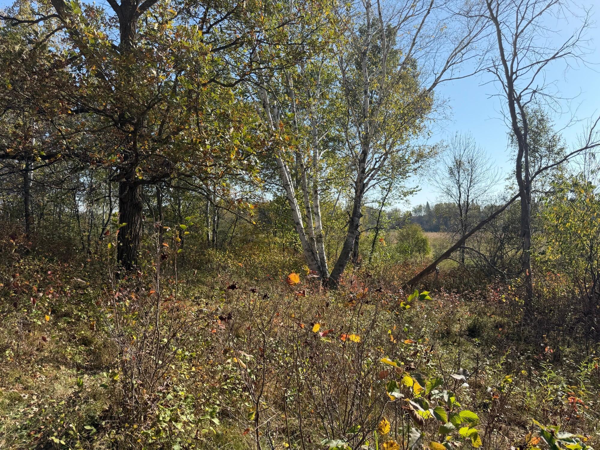 TBD 139.56ac 360th Avenue