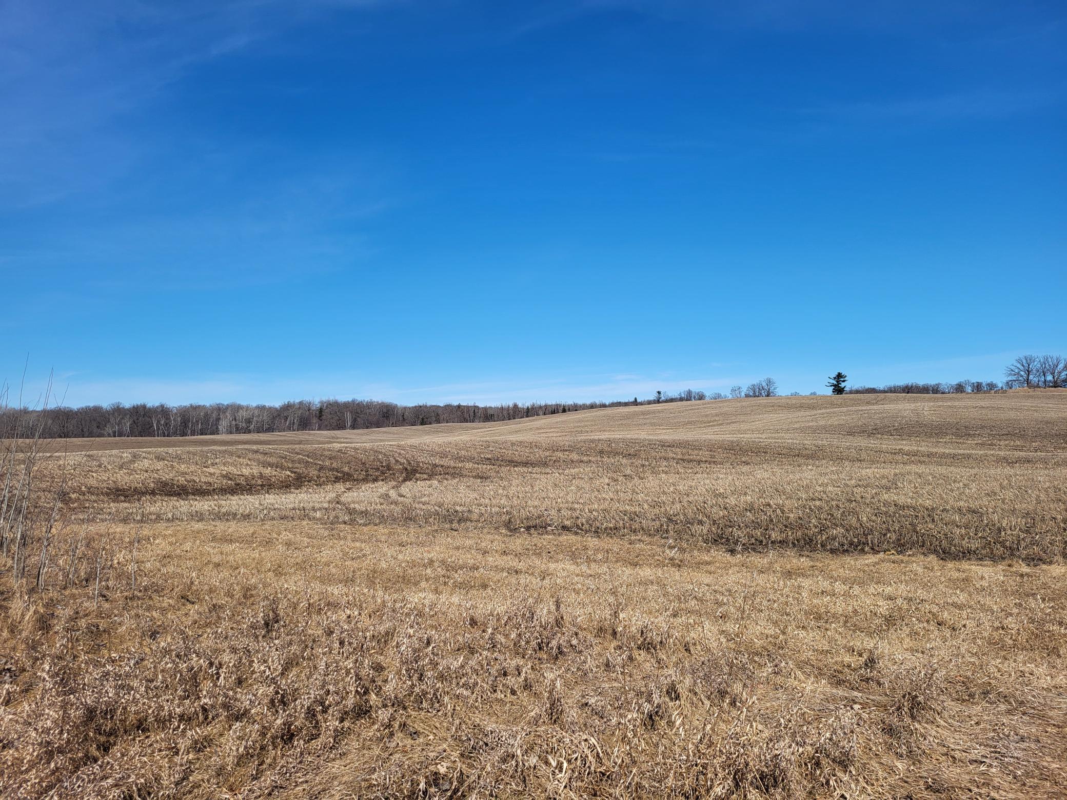 TBD 139.56ac 360th Avenue