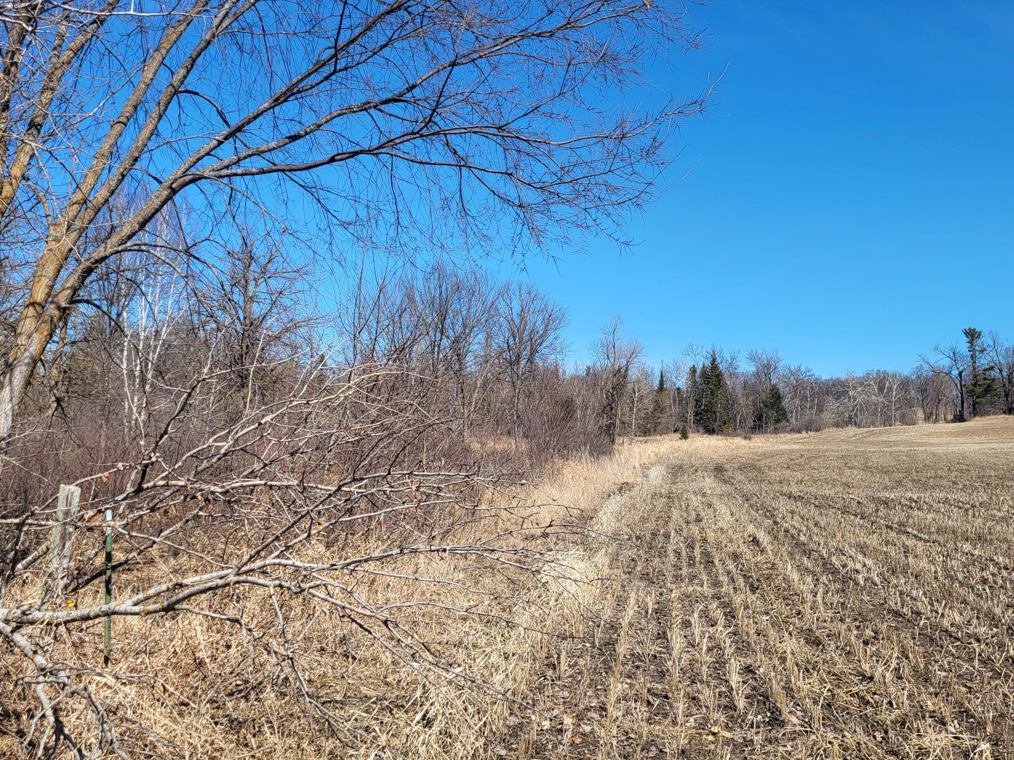 TBD 139.56ac 360th Avenue