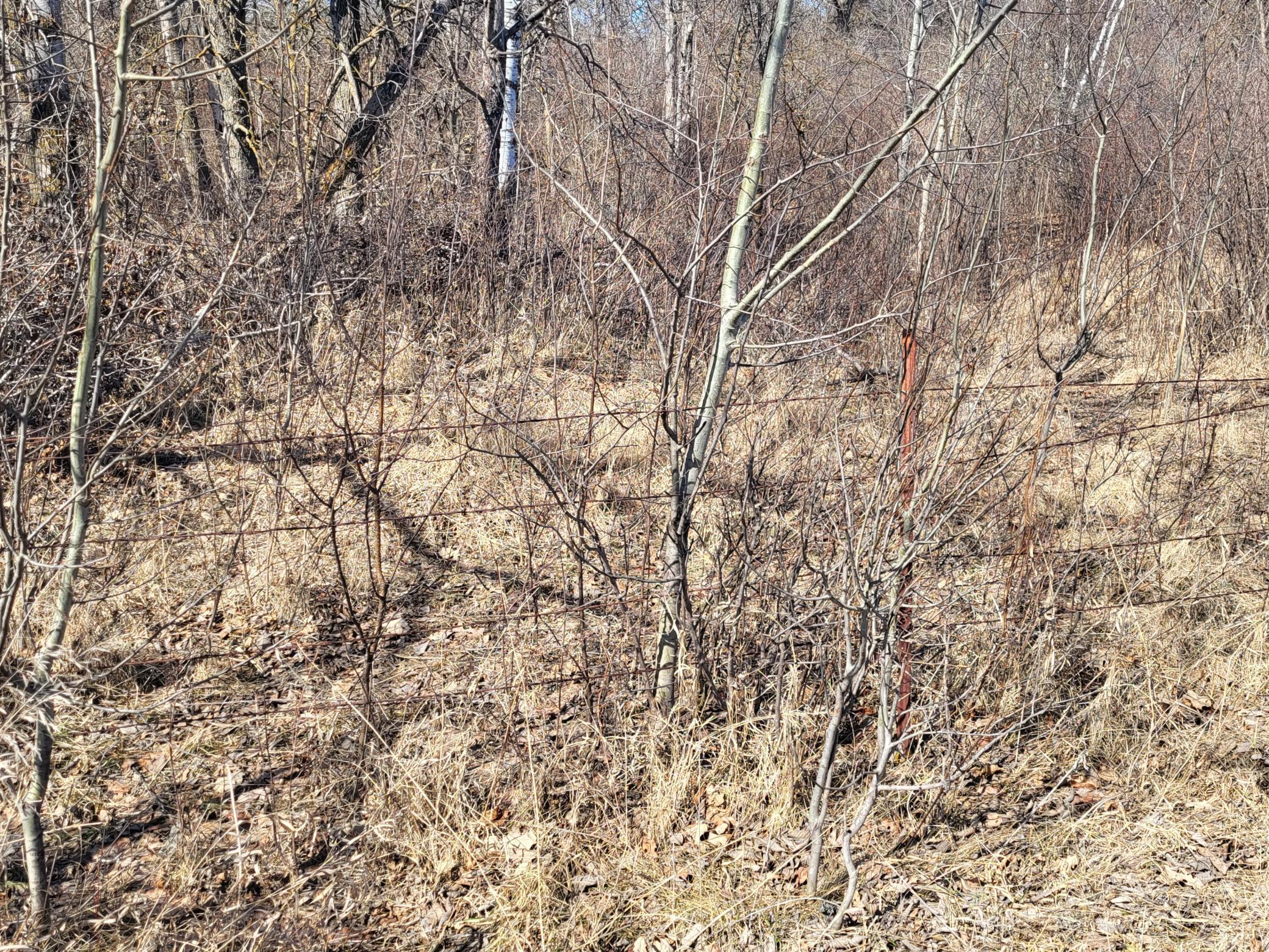 TBD 139.56ac 360th Avenue