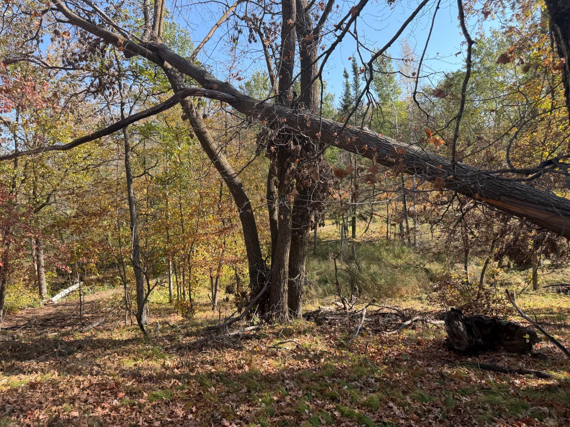 TBD 139.56ac 360th Avenue