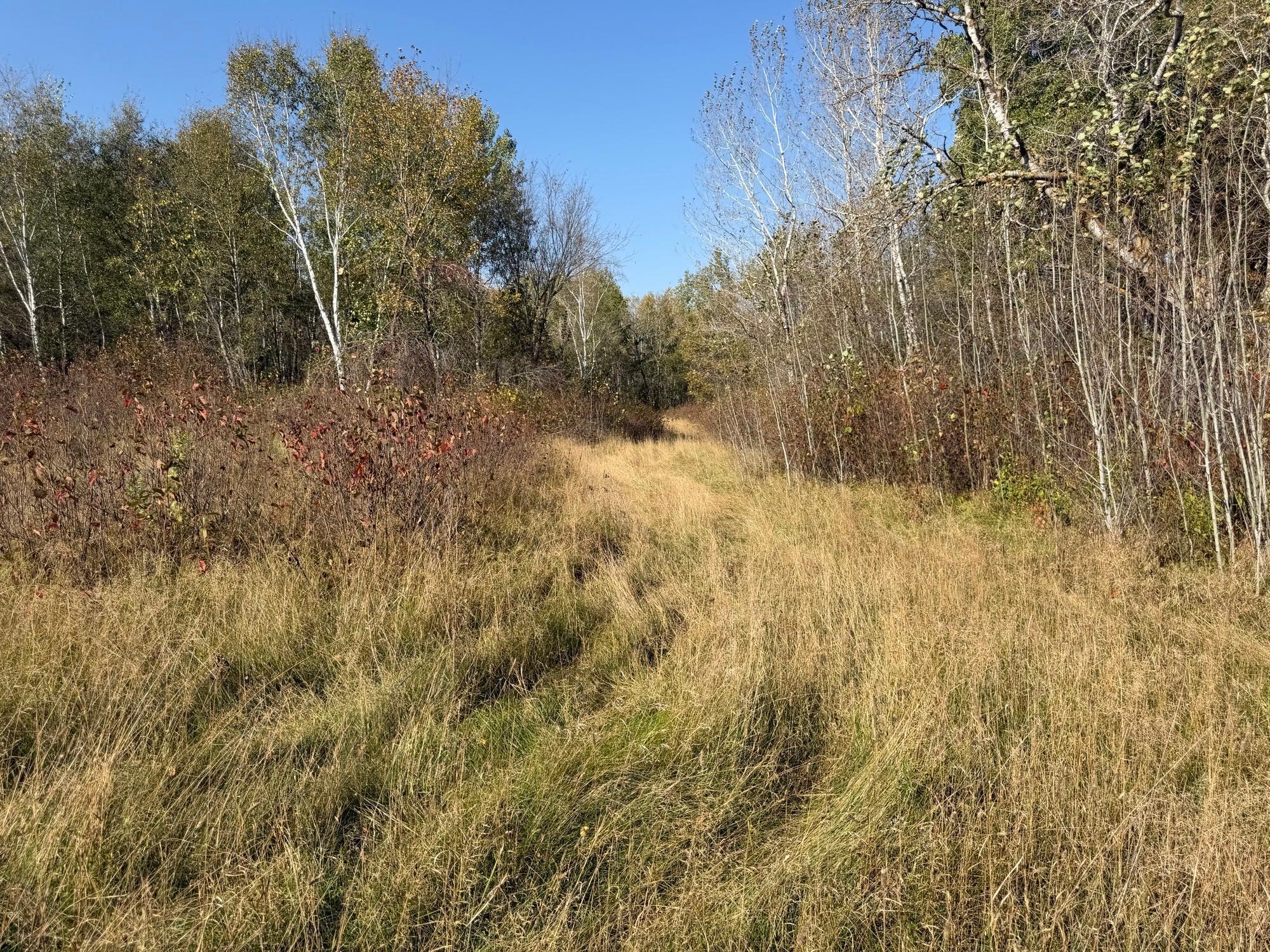 TBD 139.56ac 360th Avenue