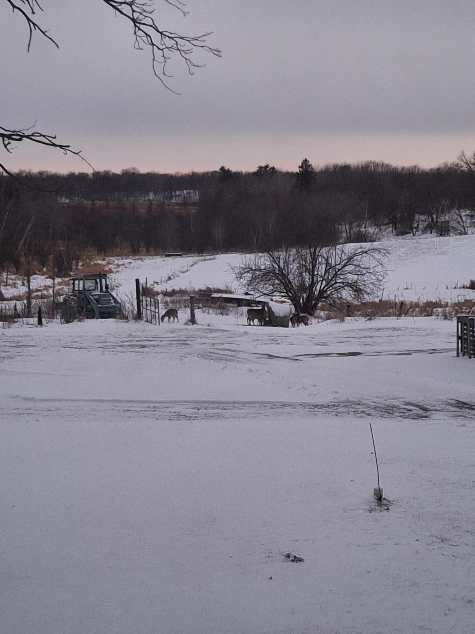TBD 139.56ac 360th Avenue