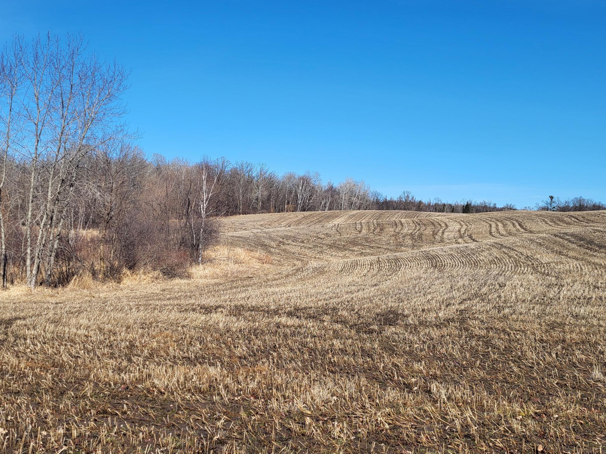 TBD 139.56ac 360th Avenue