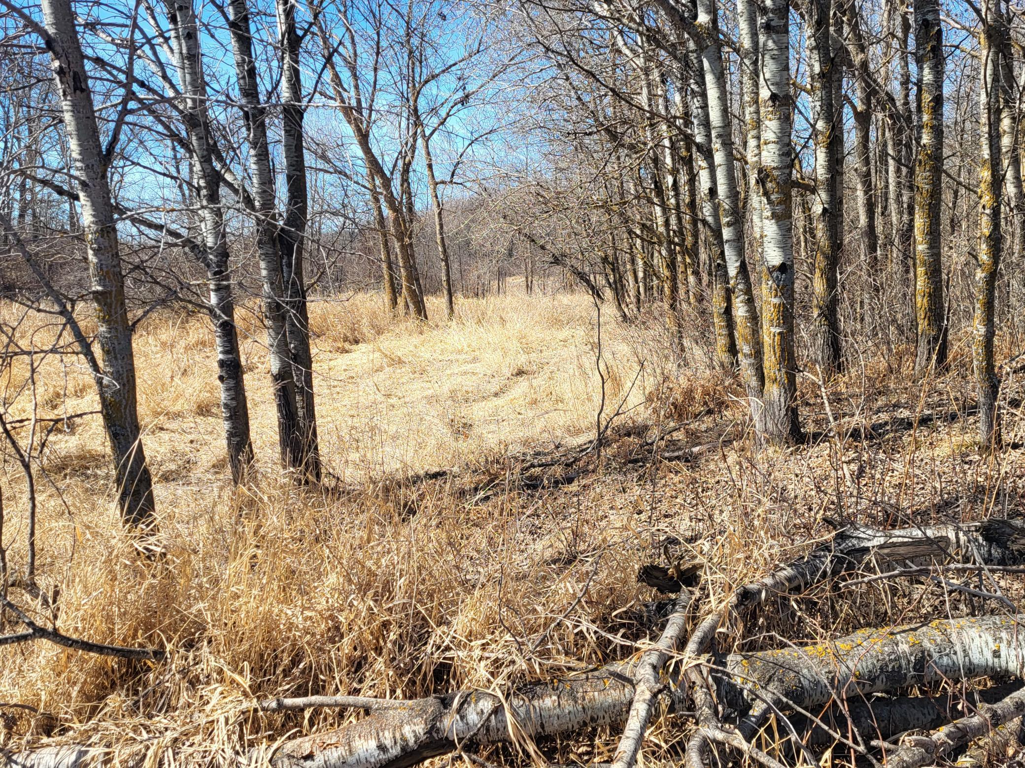 TBD 139.56ac 360th Avenue