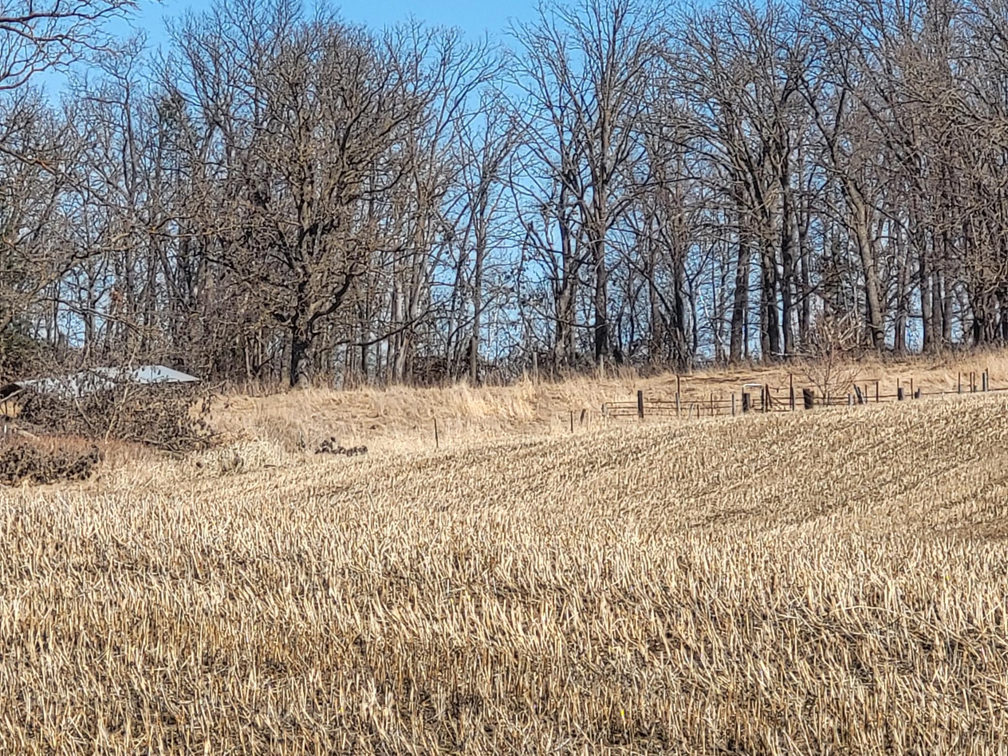 TBD 139.56ac 360th Avenue