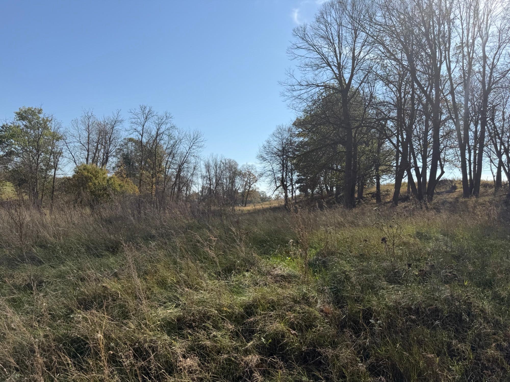 TBD 139.56ac 360th Avenue