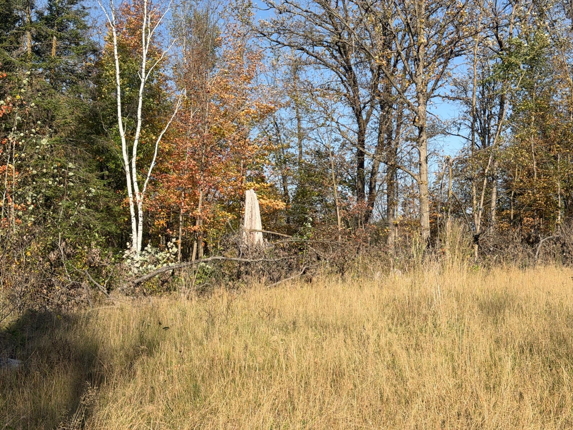 TBD 139.56ac 360th Avenue
