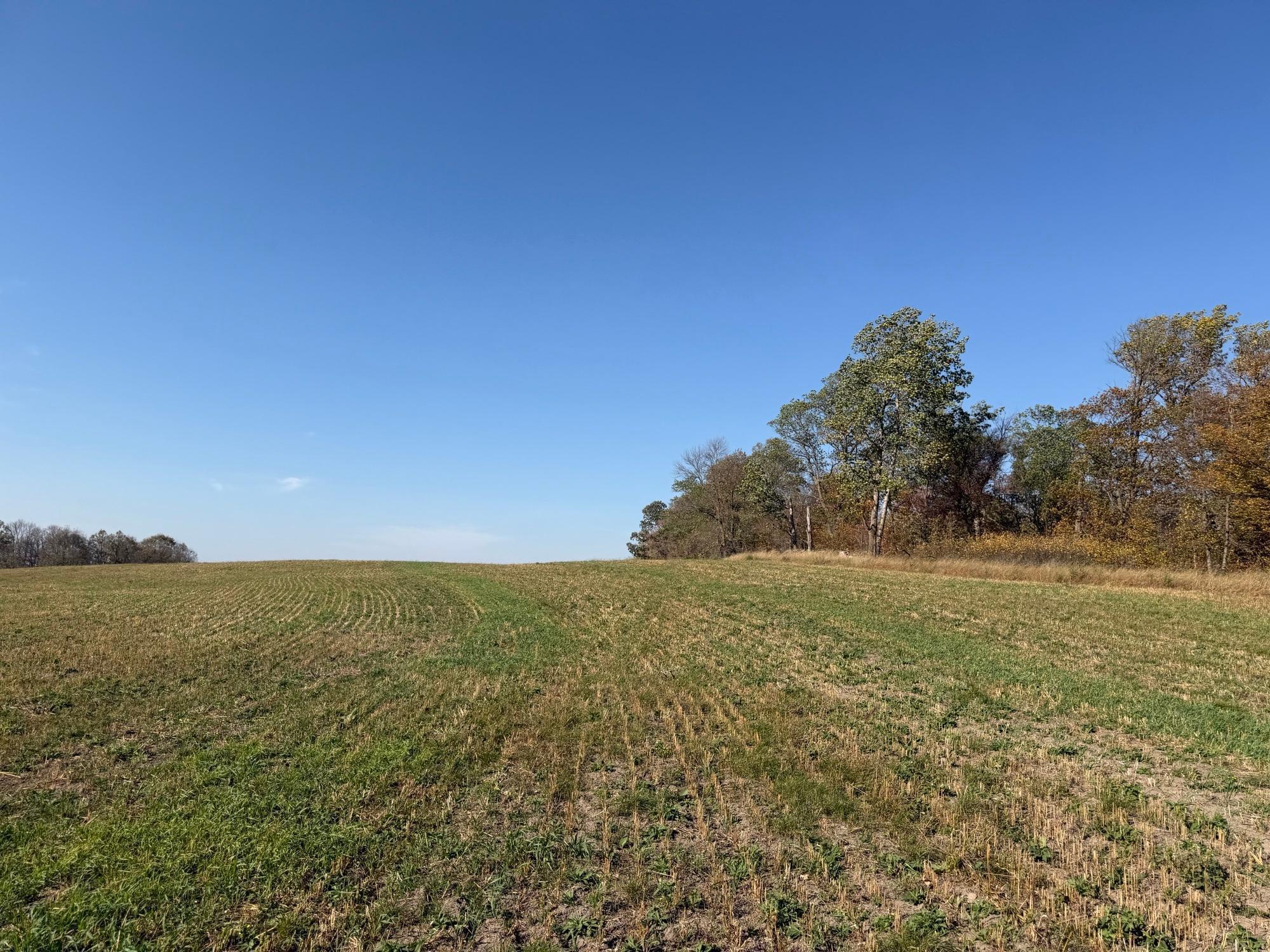 TBD 139.56ac 360th Avenue