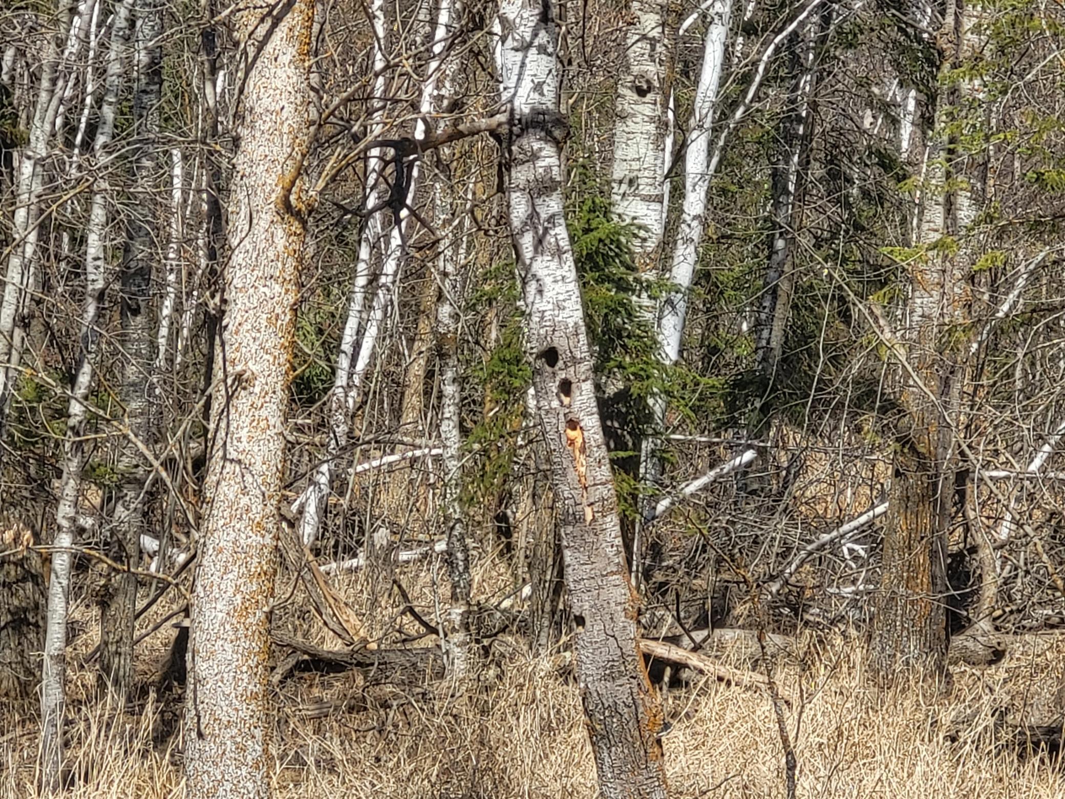 TBD 139.56ac 360th Avenue