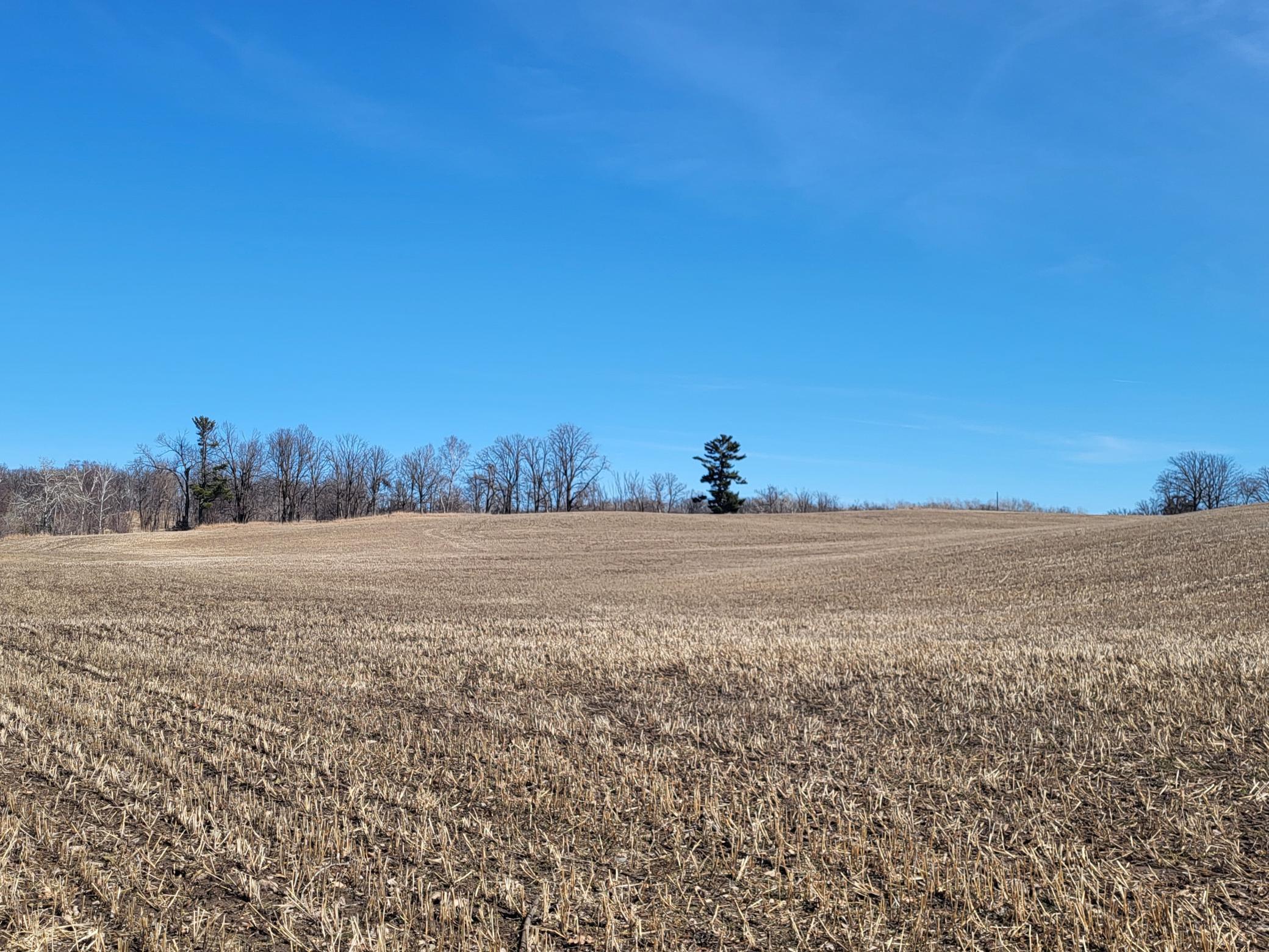 TBD 139.56ac 360th Avenue