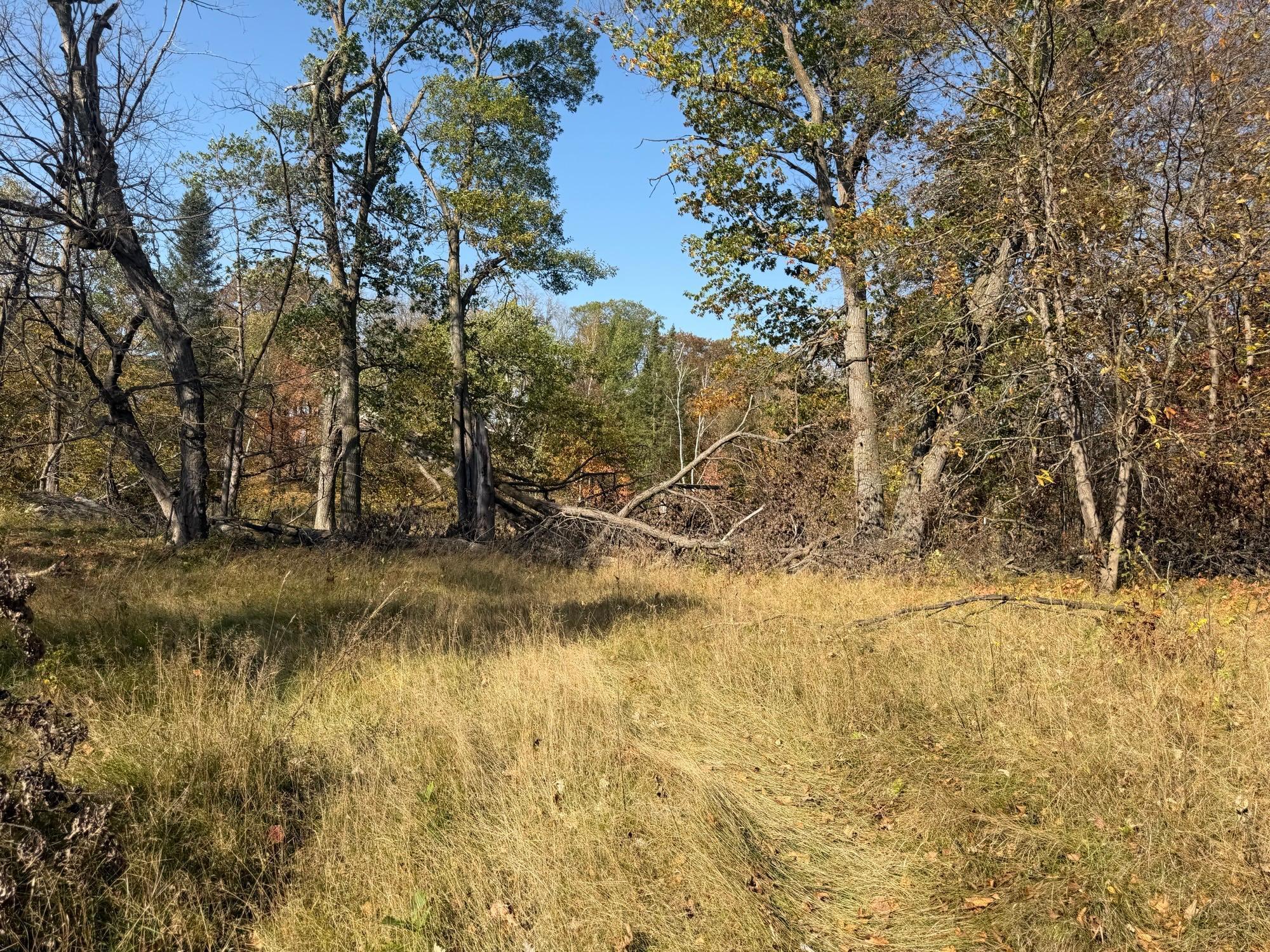 TBD 139.56ac 360th Avenue