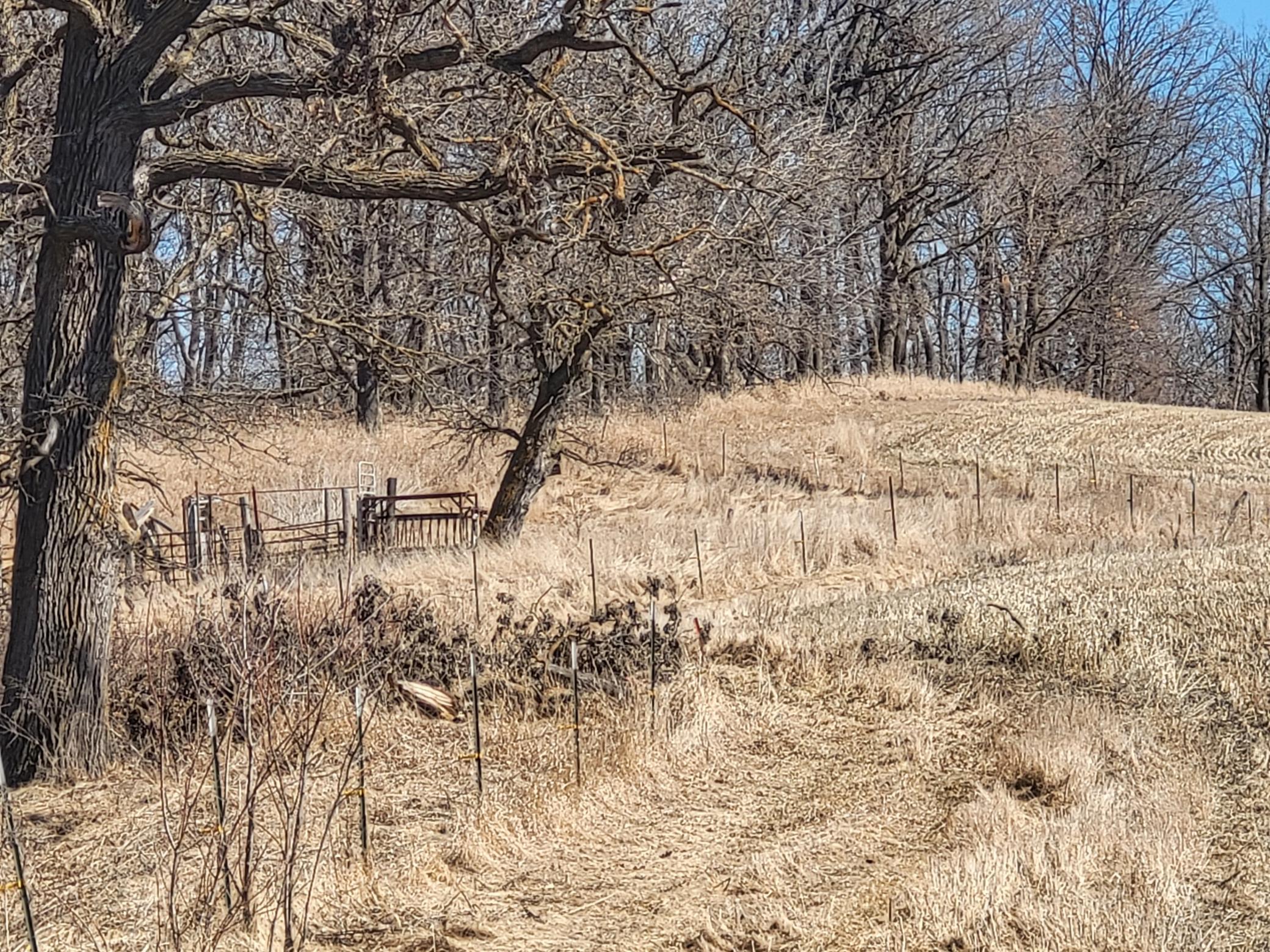TBD 139.56ac 360th Avenue