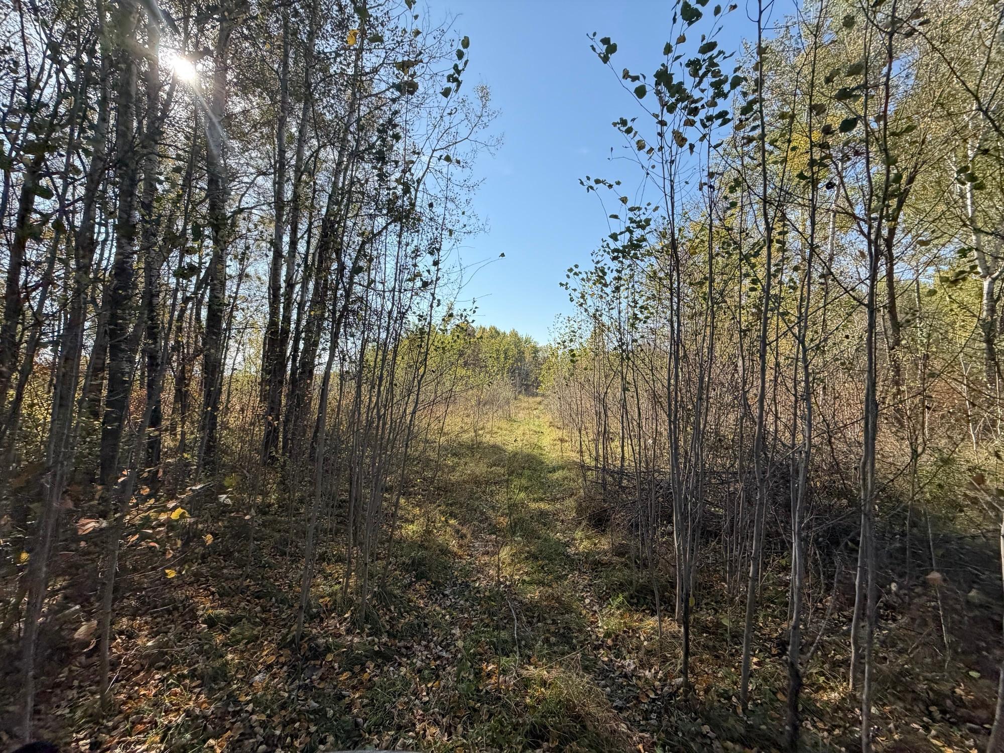 TBD 139.56ac 360th Avenue