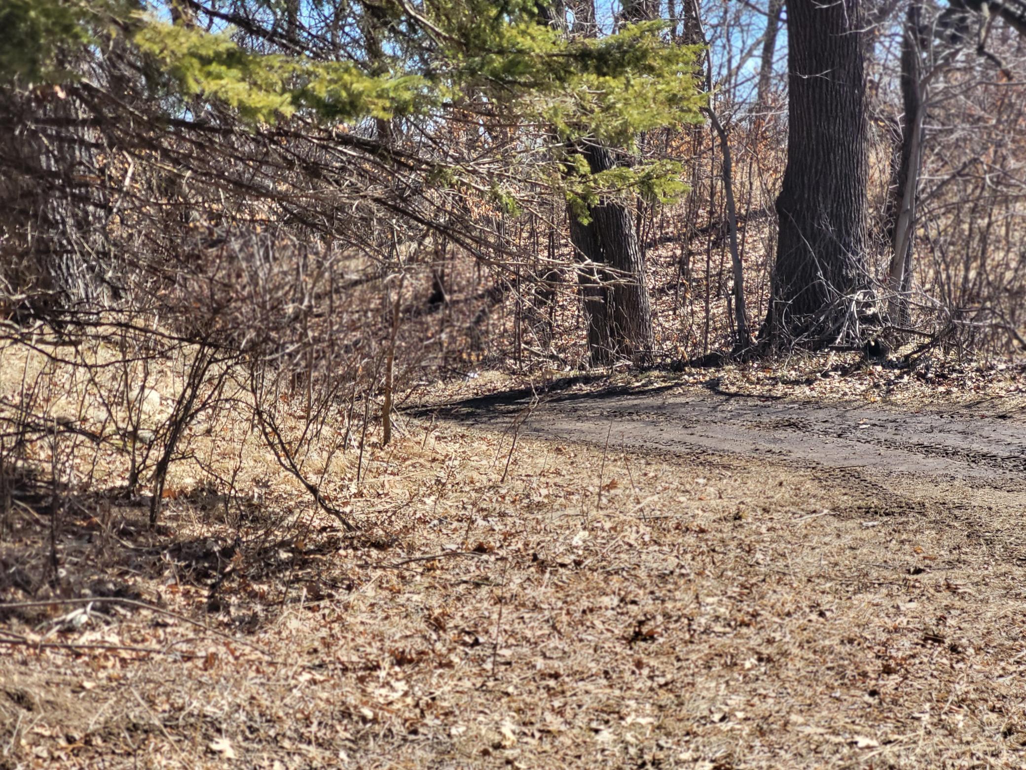 TBD 139.56ac 360th Avenue