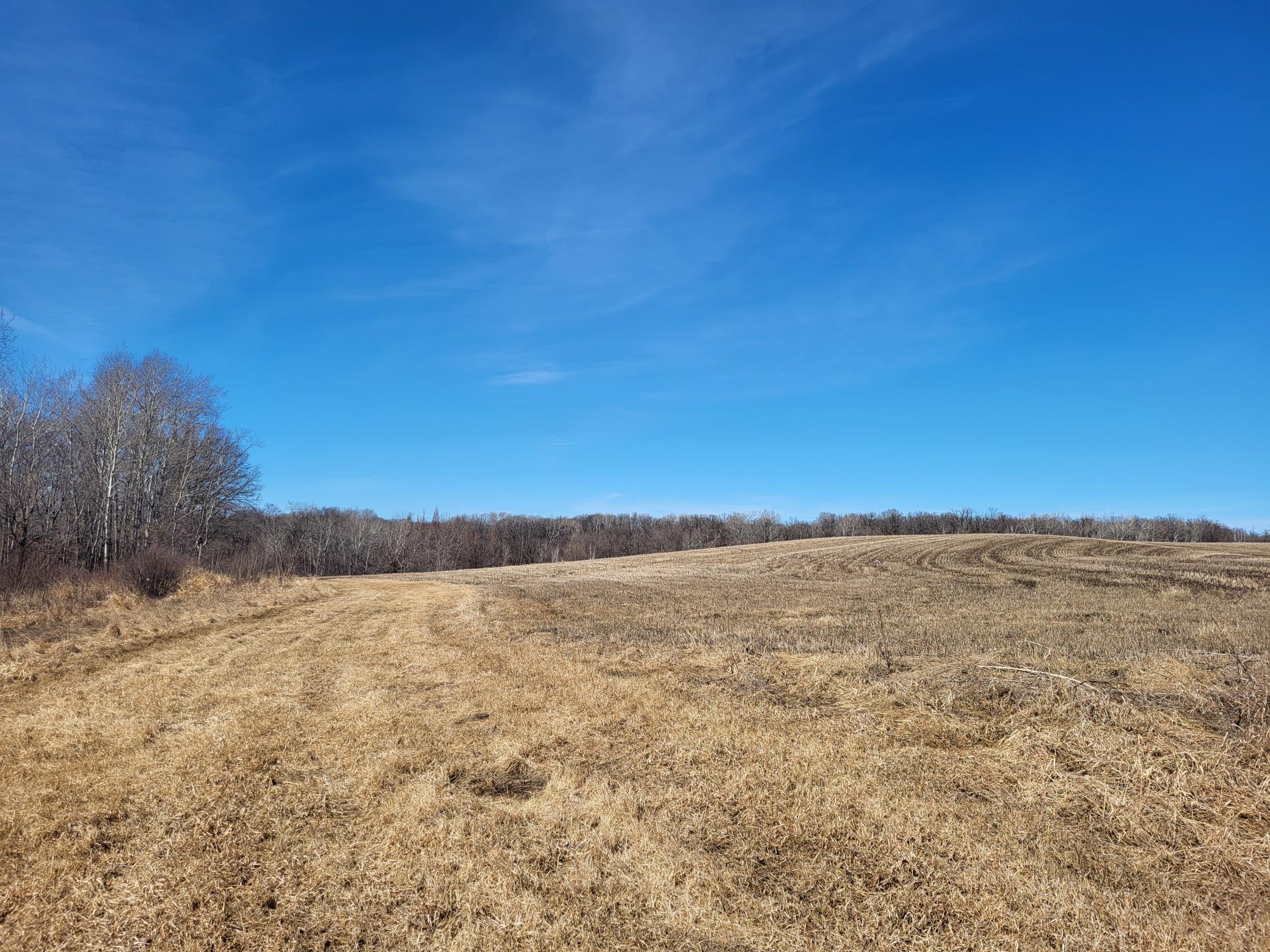 TBD 139.56ac 360th Avenue