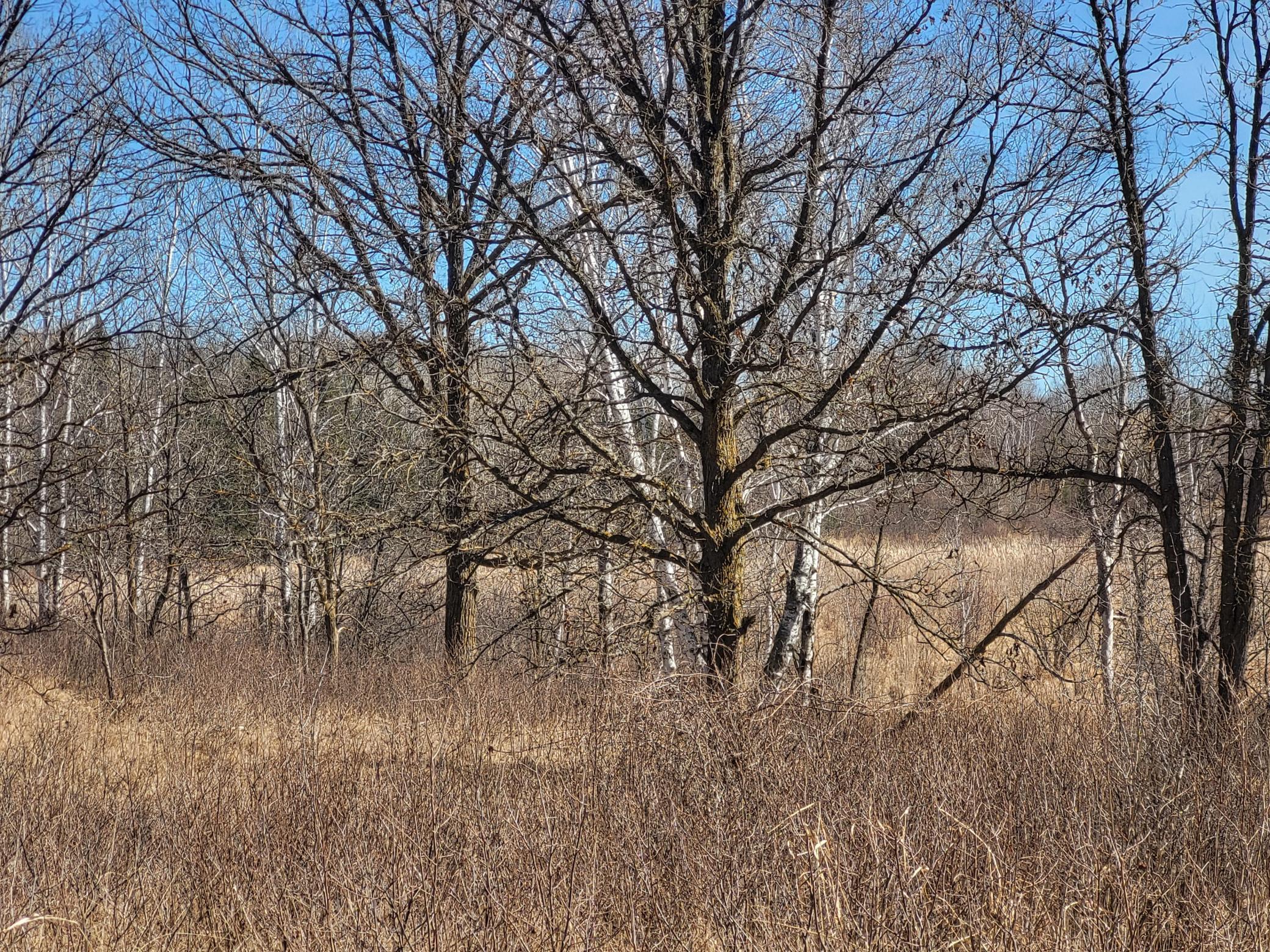 TBD 139.56ac 360th Avenue
