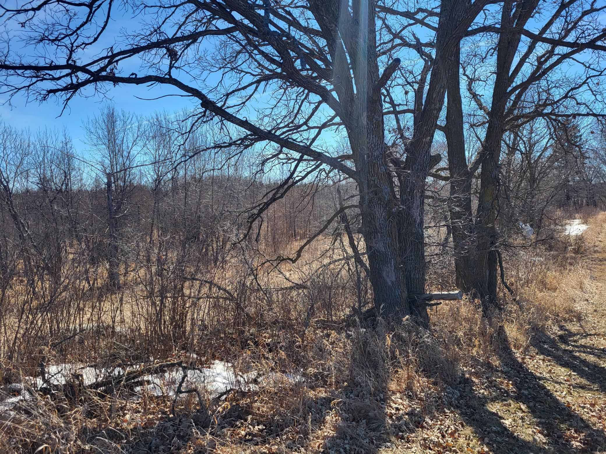 TBD 139.56ac 360th Avenue