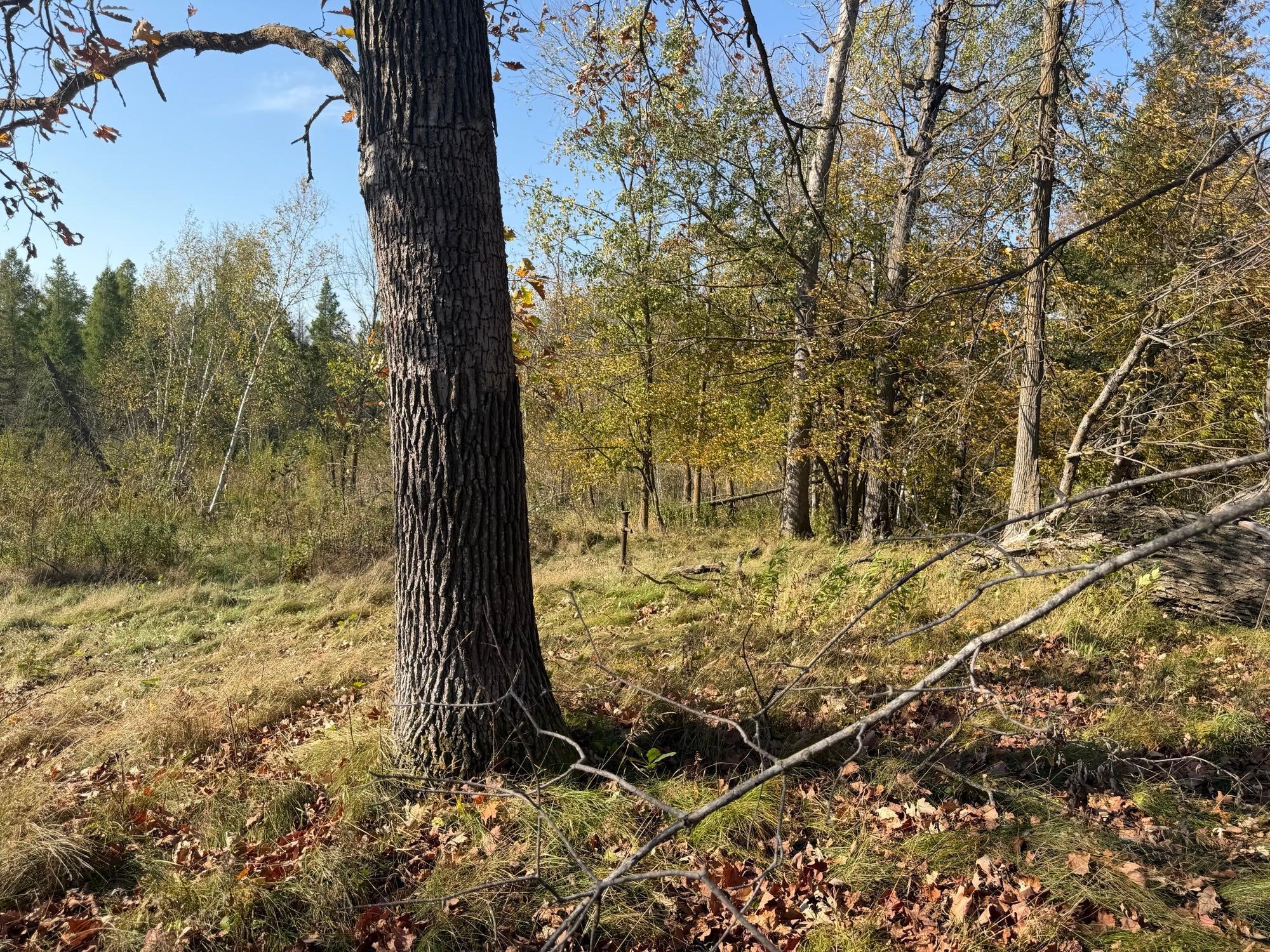 TBD 139.56ac 360th Avenue