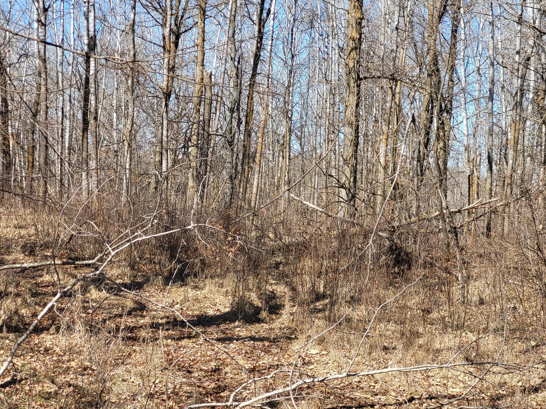 TBD 139.56ac 360th Avenue