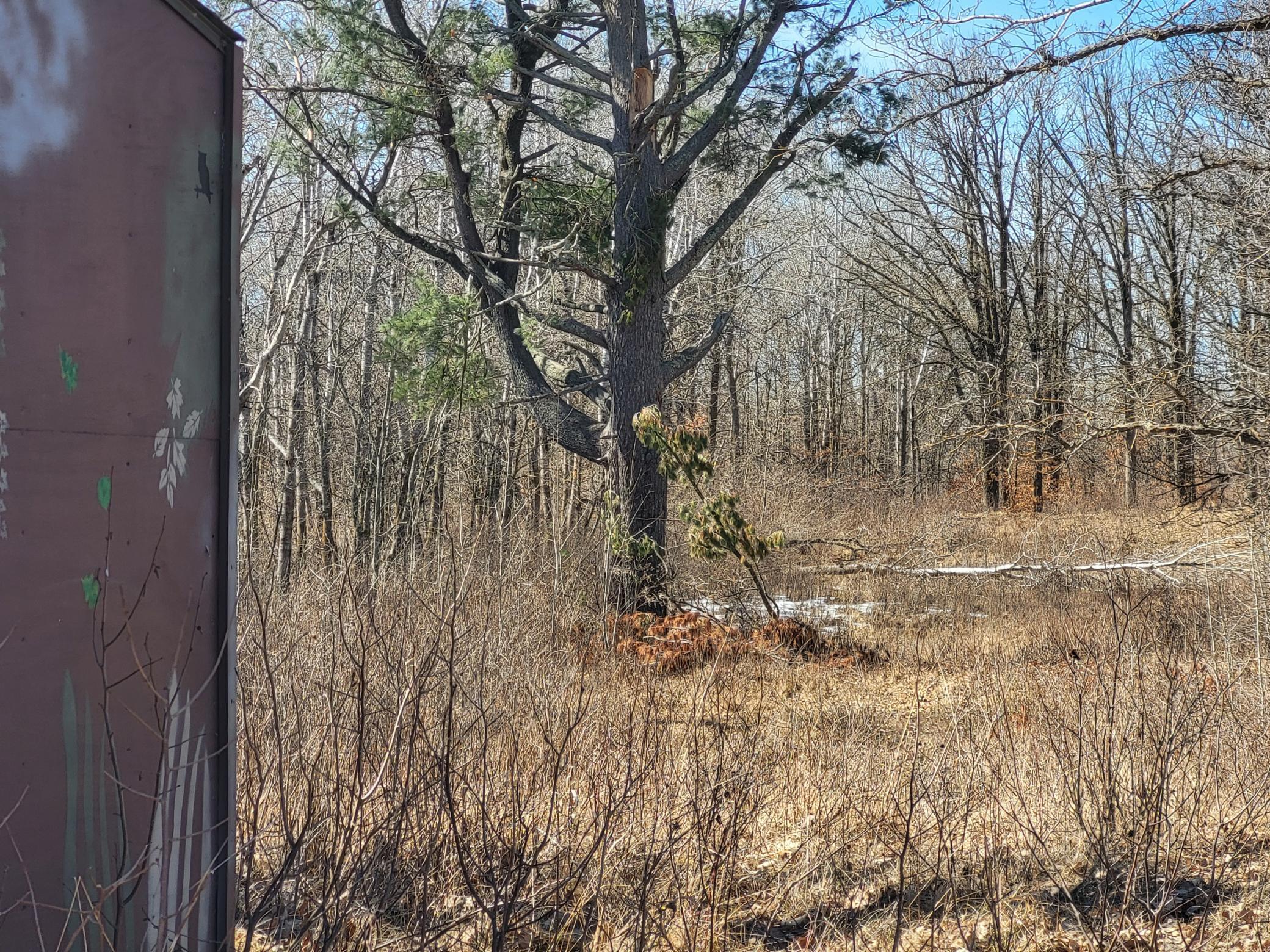 TBD 139.56ac 360th Avenue