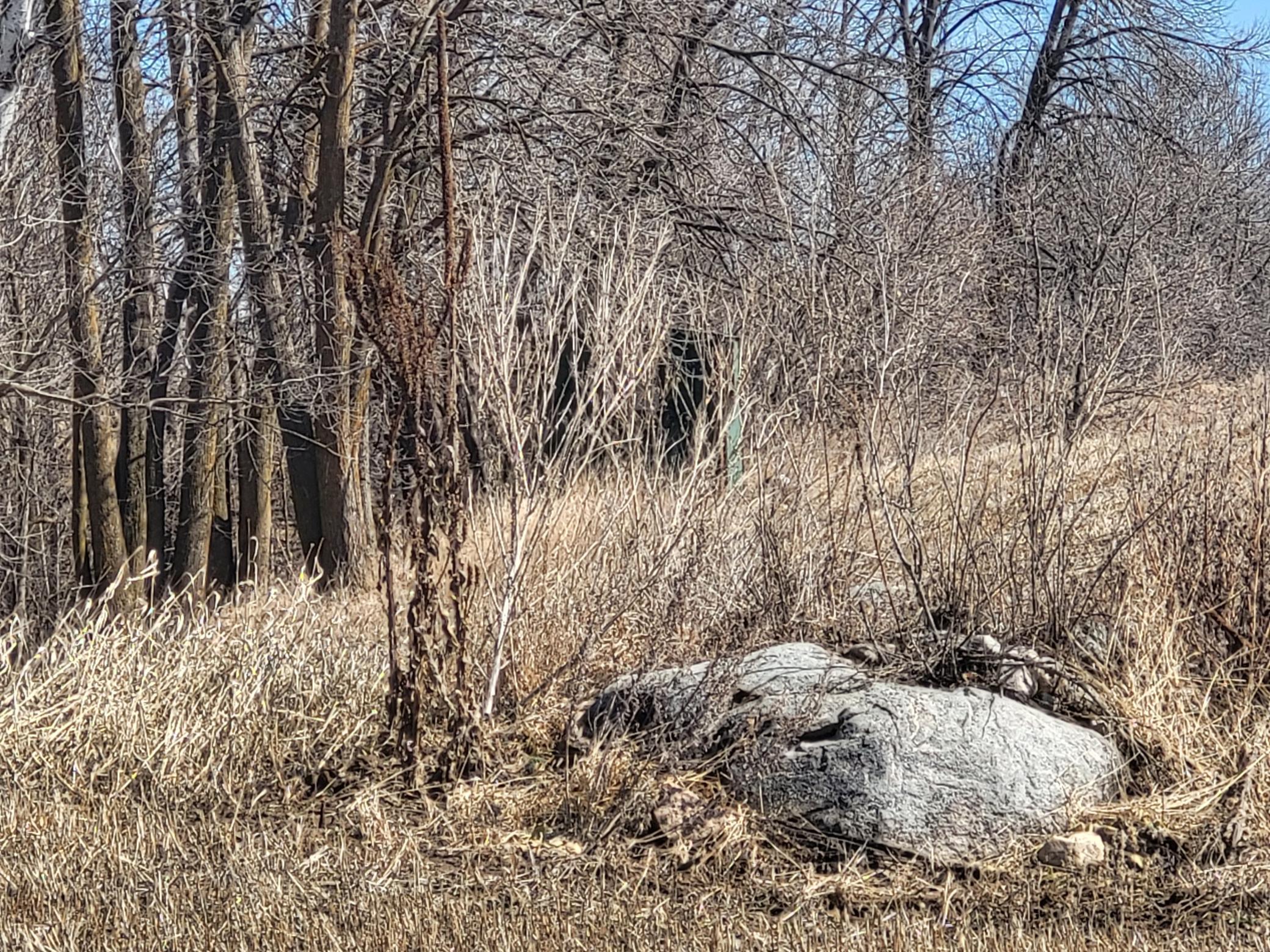 TBD 139.56ac 360th Avenue