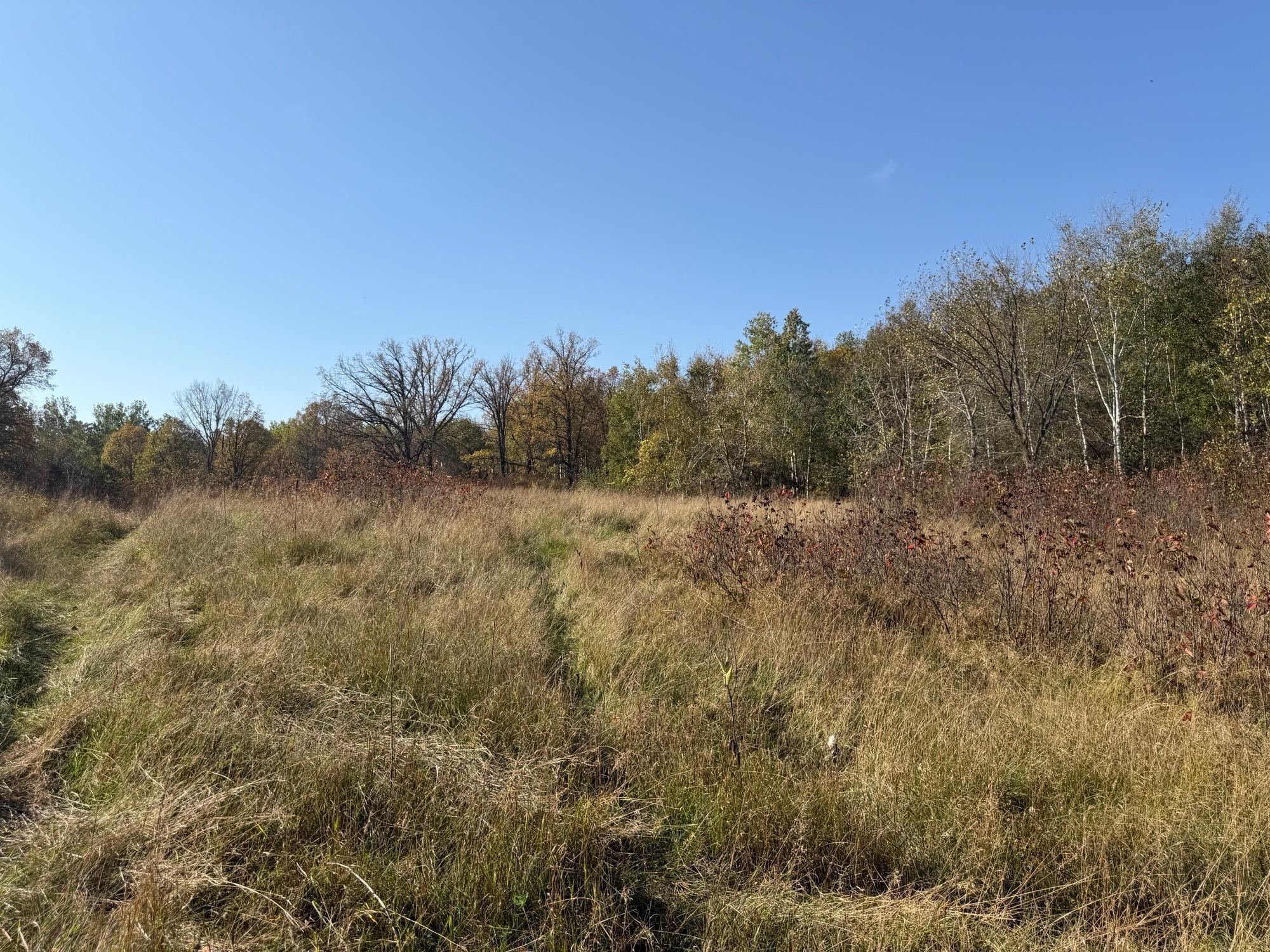 TBD 139.56ac 360th Avenue