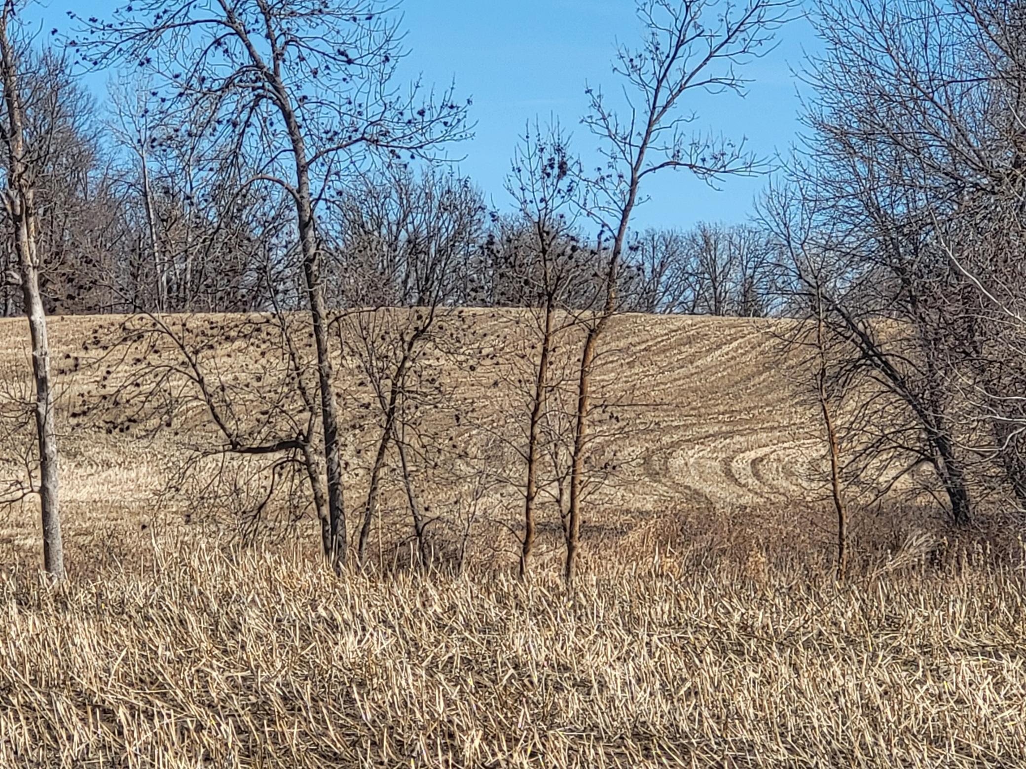 TBD 139.56ac 360th Avenue