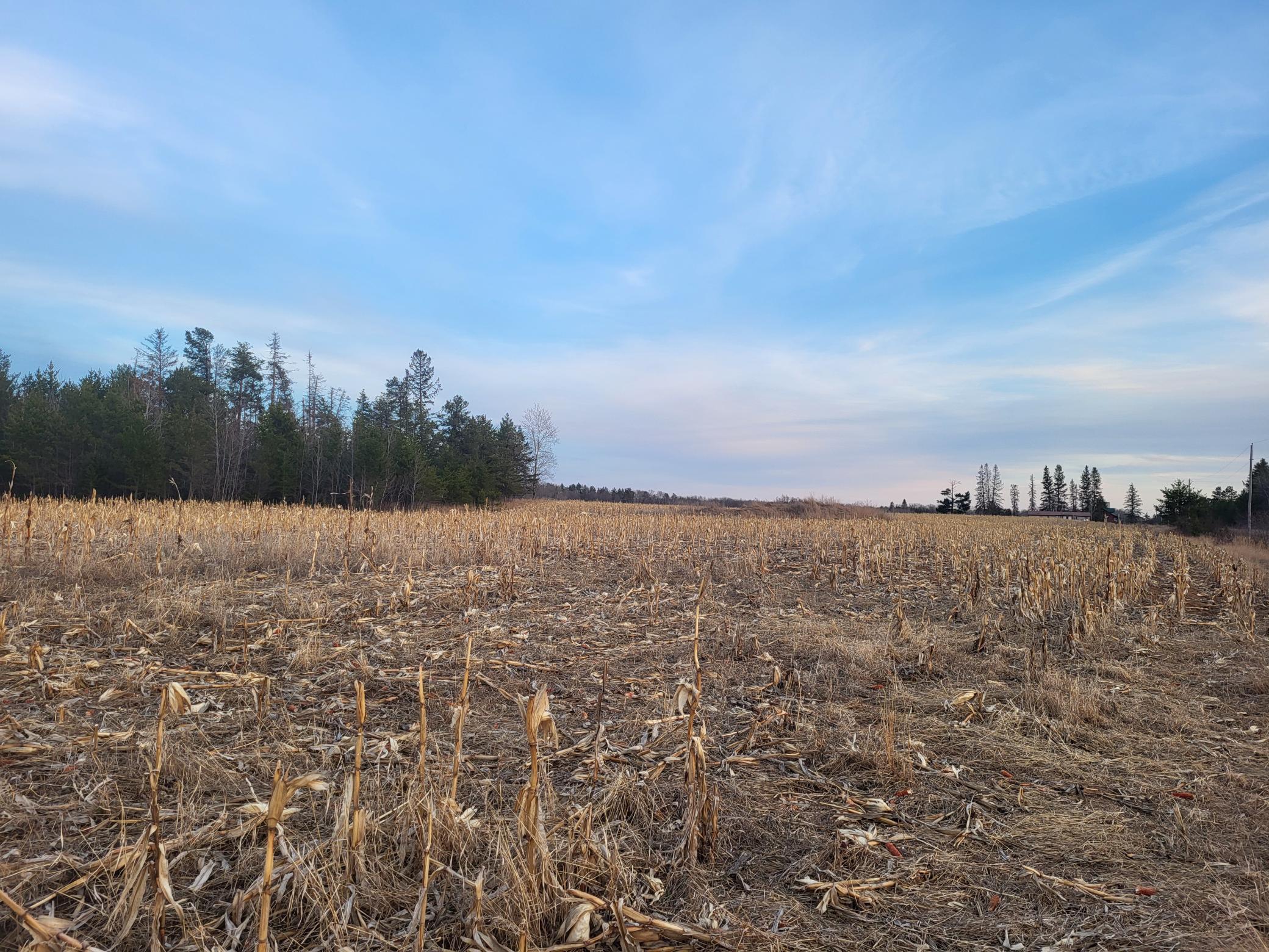 79.61 acres 83rd Ave SW