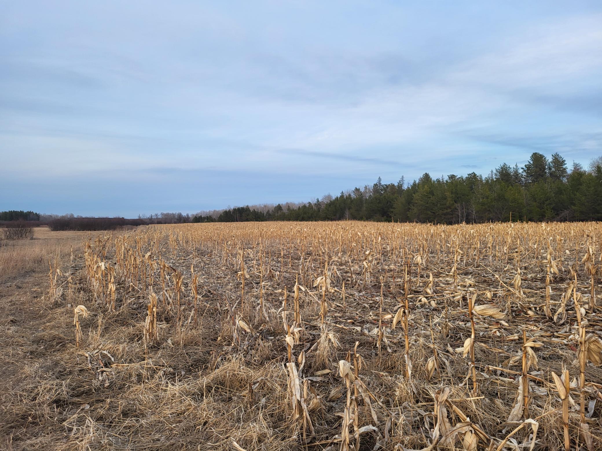 79.61 acres 83rd Ave SW