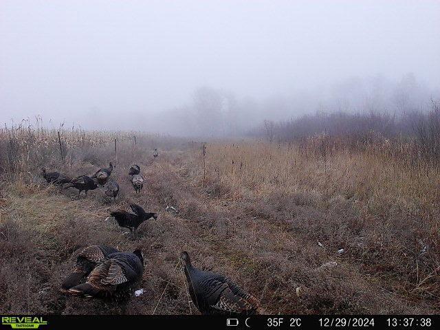 79.61 acres 83rd Ave SW