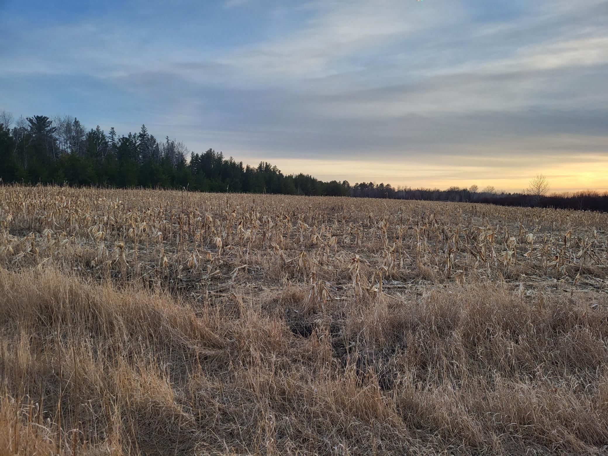 79.61 acres 83rd Ave SW