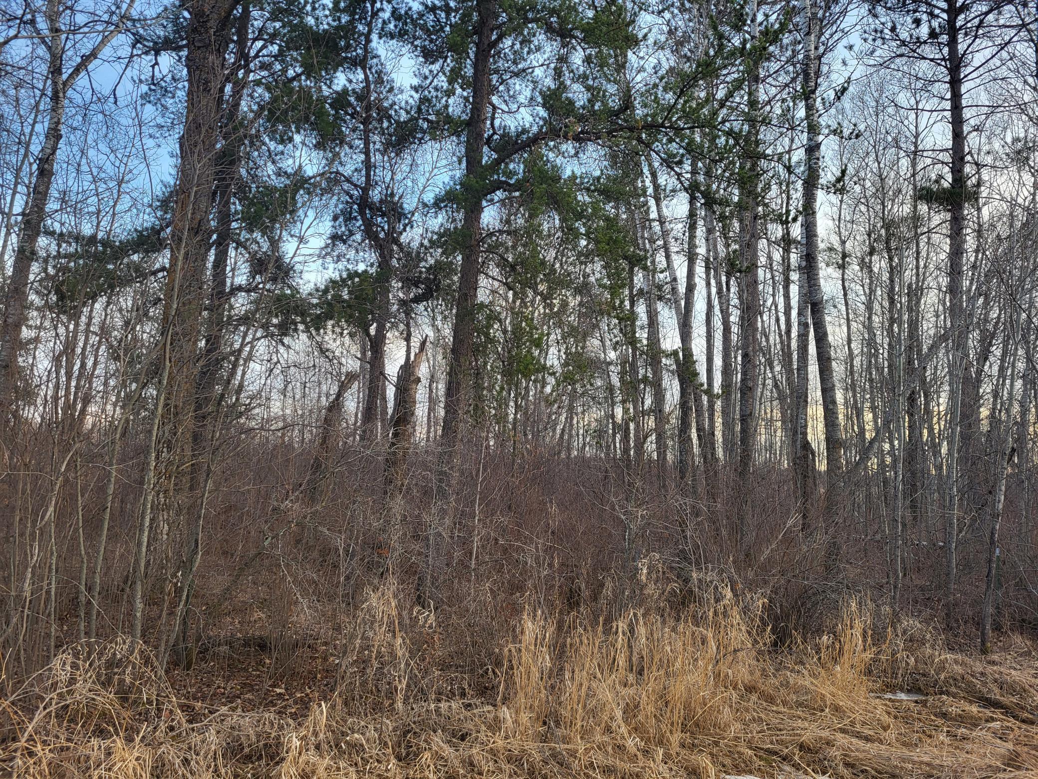 79.61 acres 83rd Ave SW