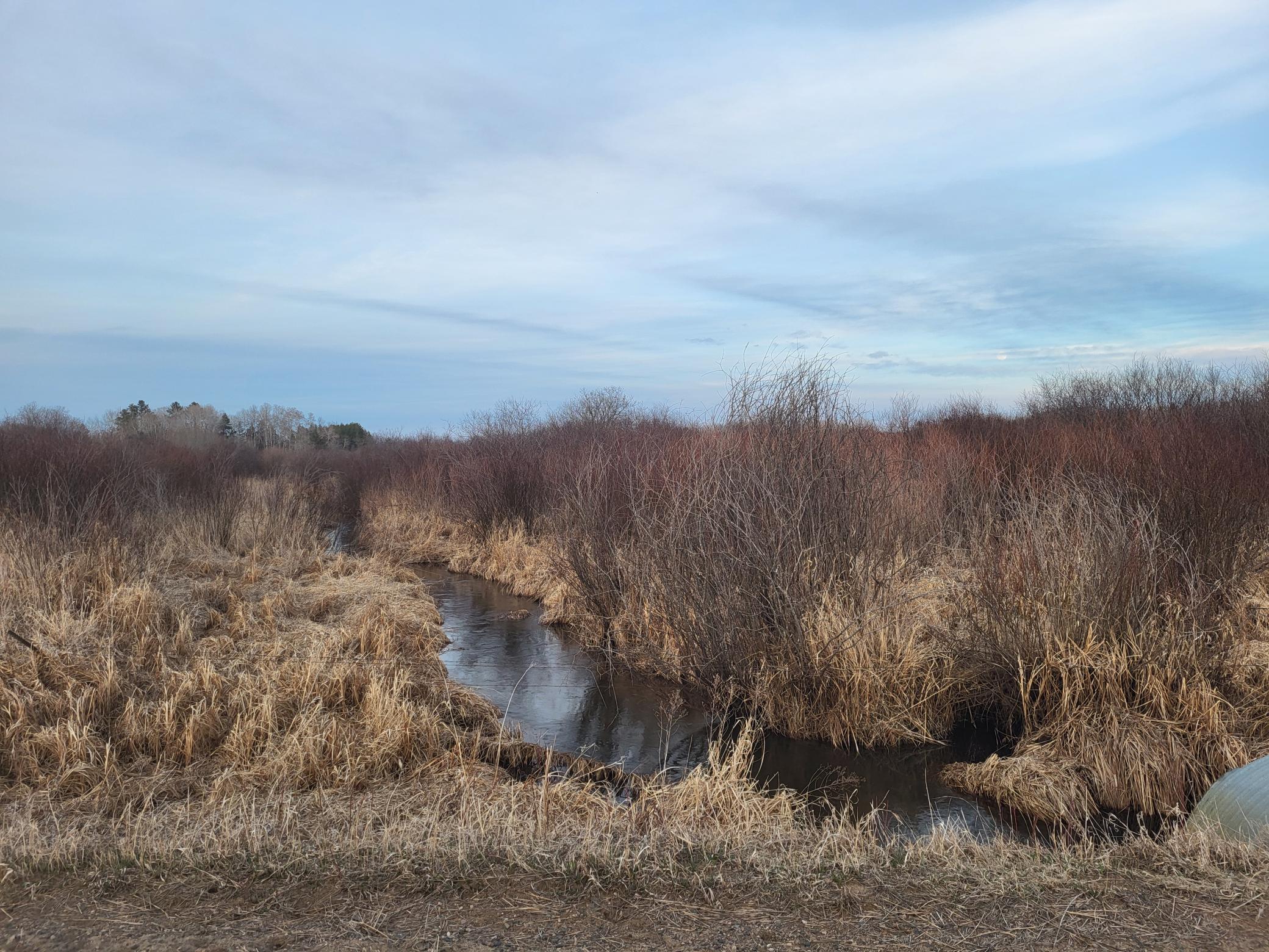 79.61 acres 83rd Ave SW