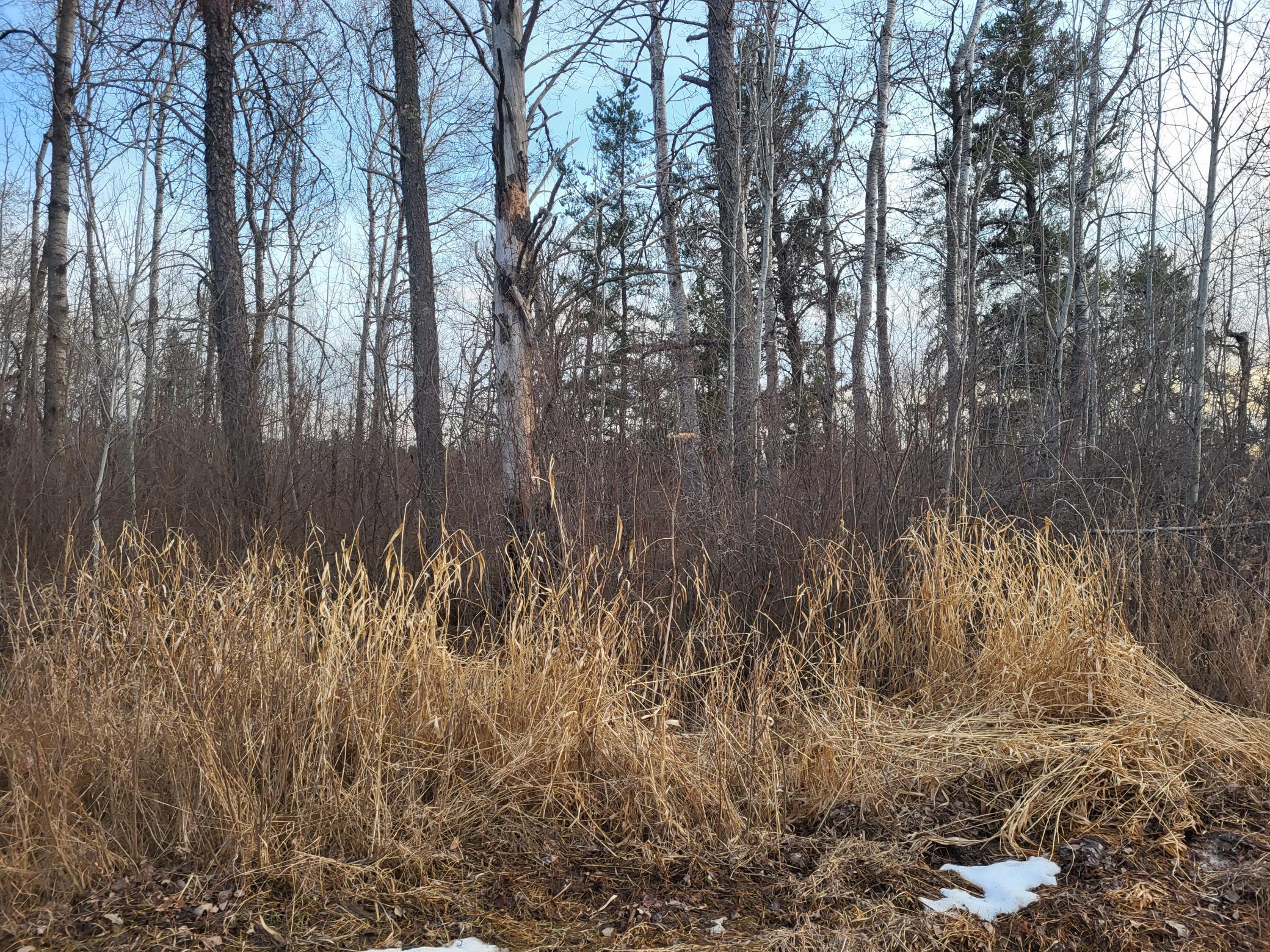 79.61 acres 83rd Ave SW