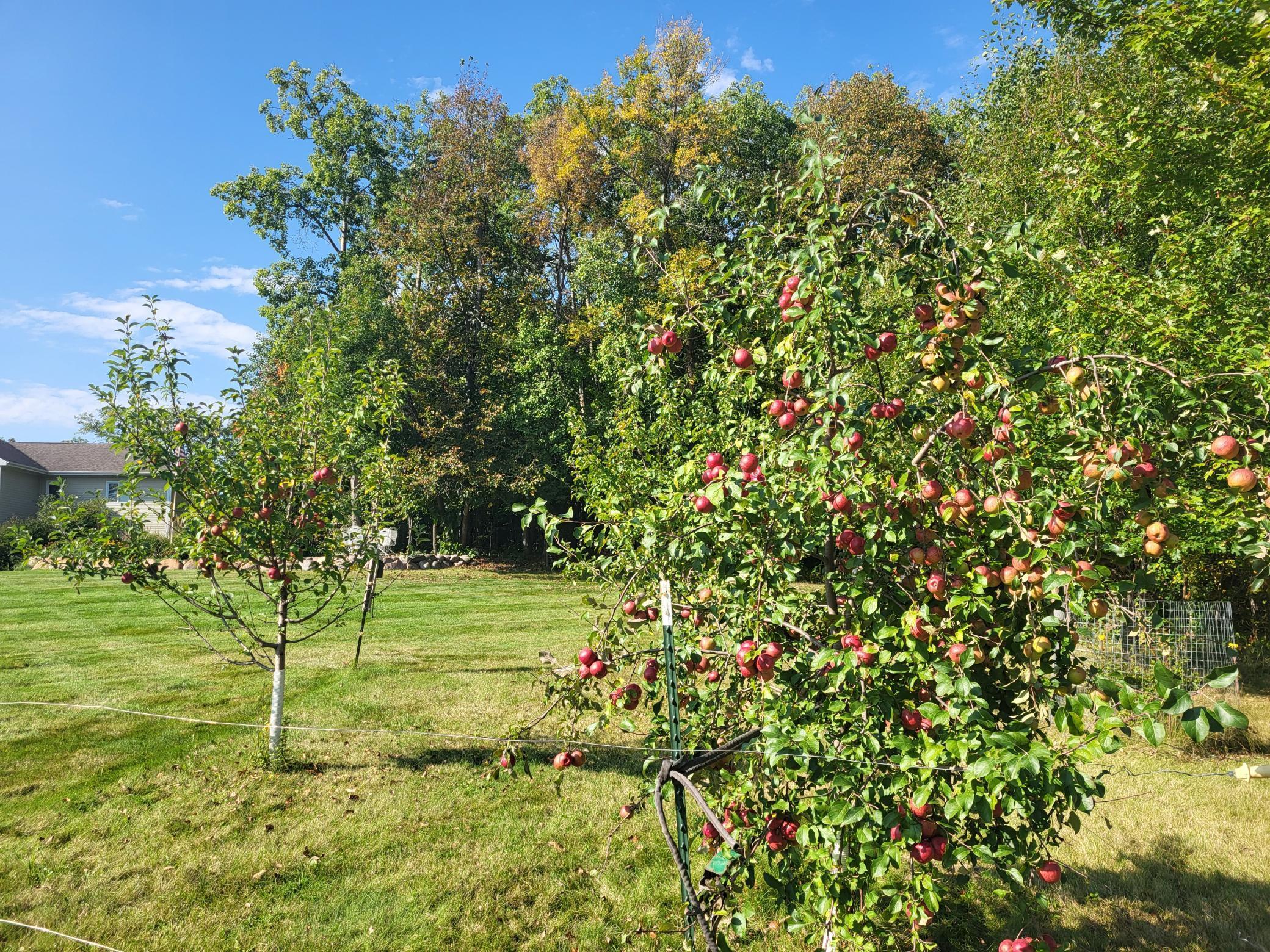 29216 Pleasant Lake Road