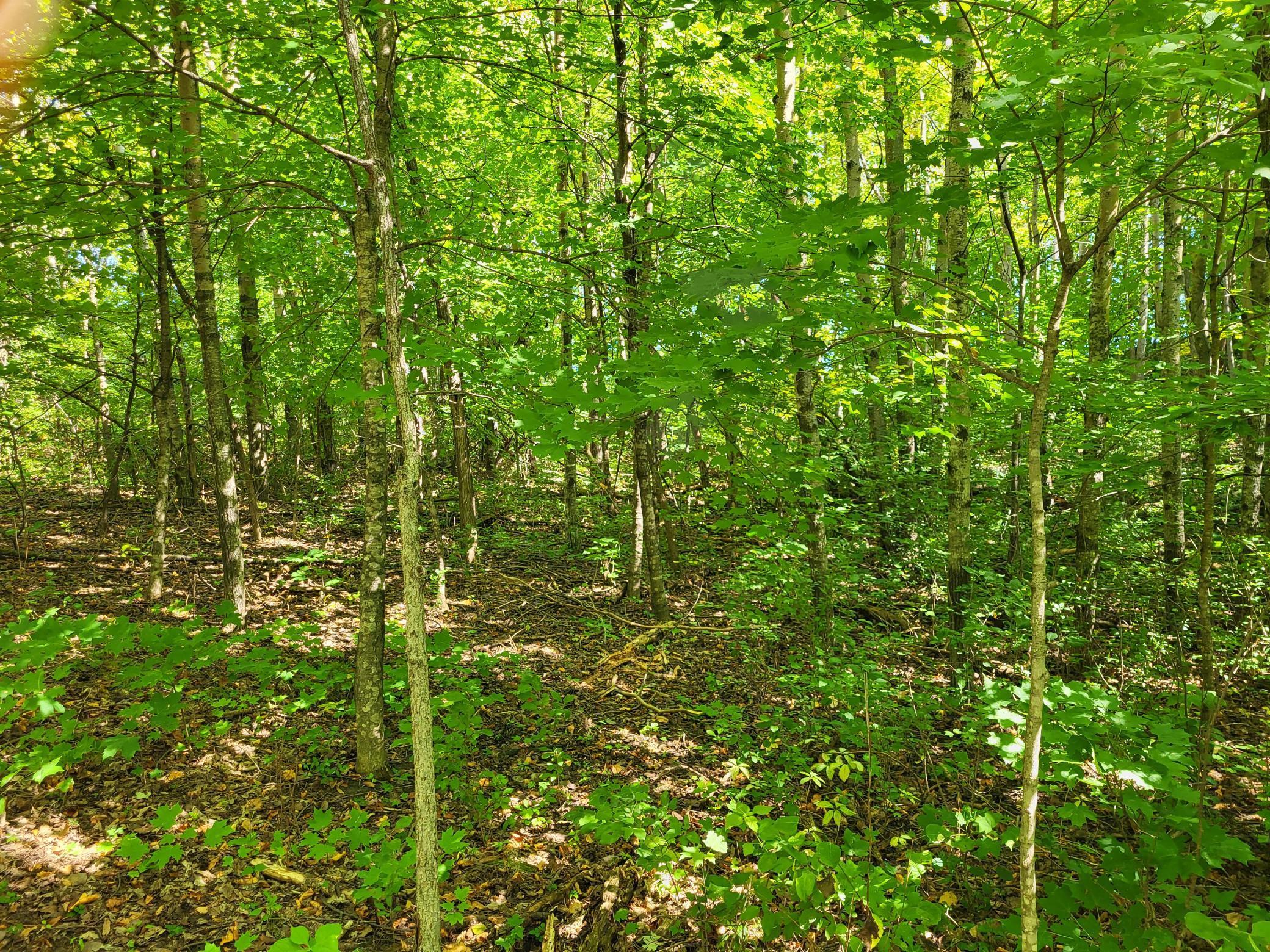 Lot 3 Pleasant Lake Road
