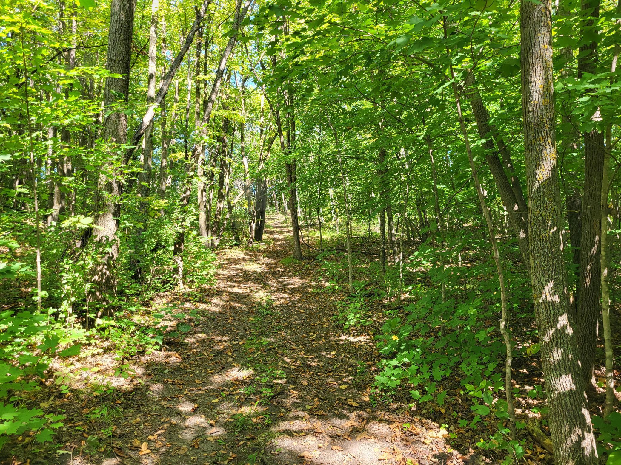 Lot 3 Pleasant Lake Road