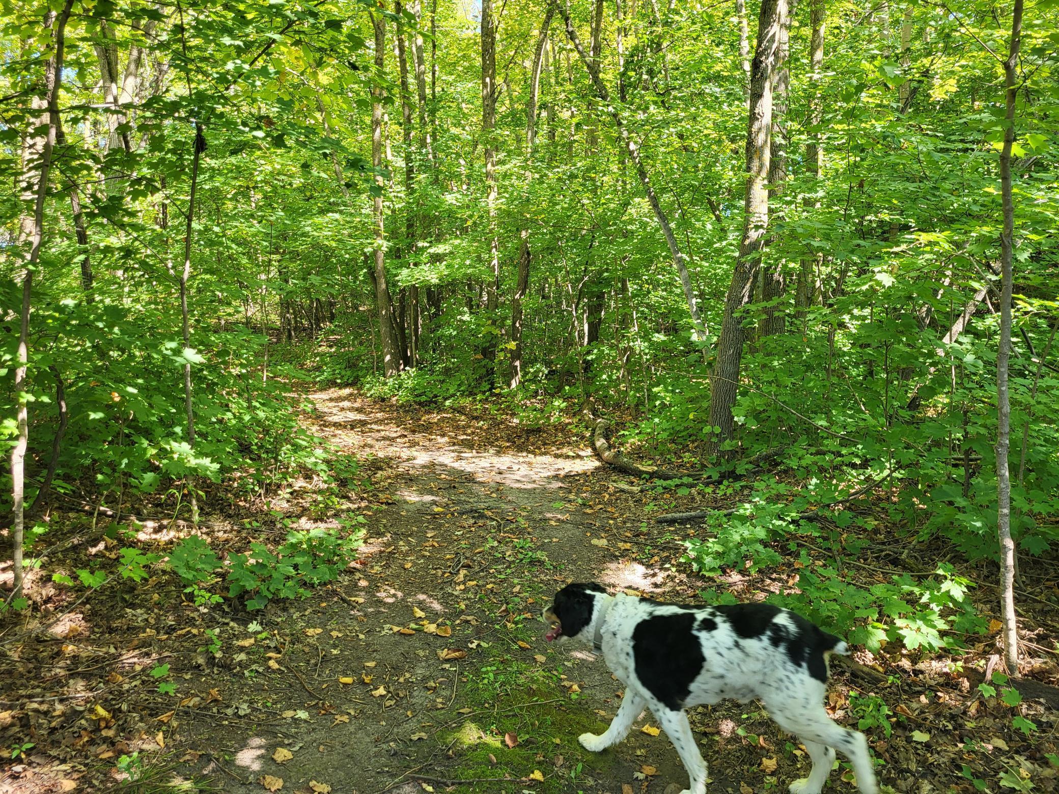 Lot 3 Pleasant Lake Road